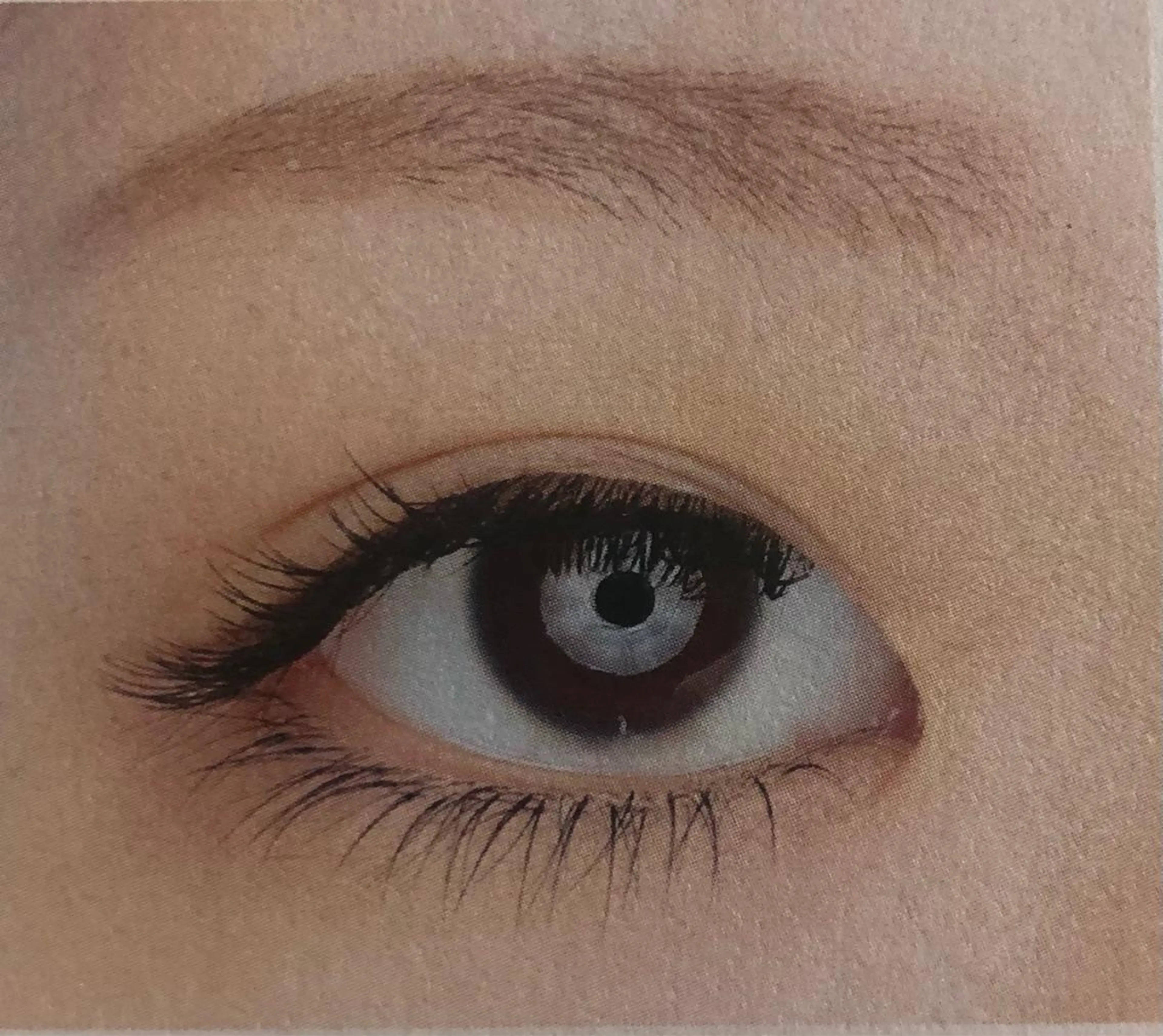 マツエク・マツパ 下まつげエクステ マツエク Lucia 小川のマツエク・マツパデザイン