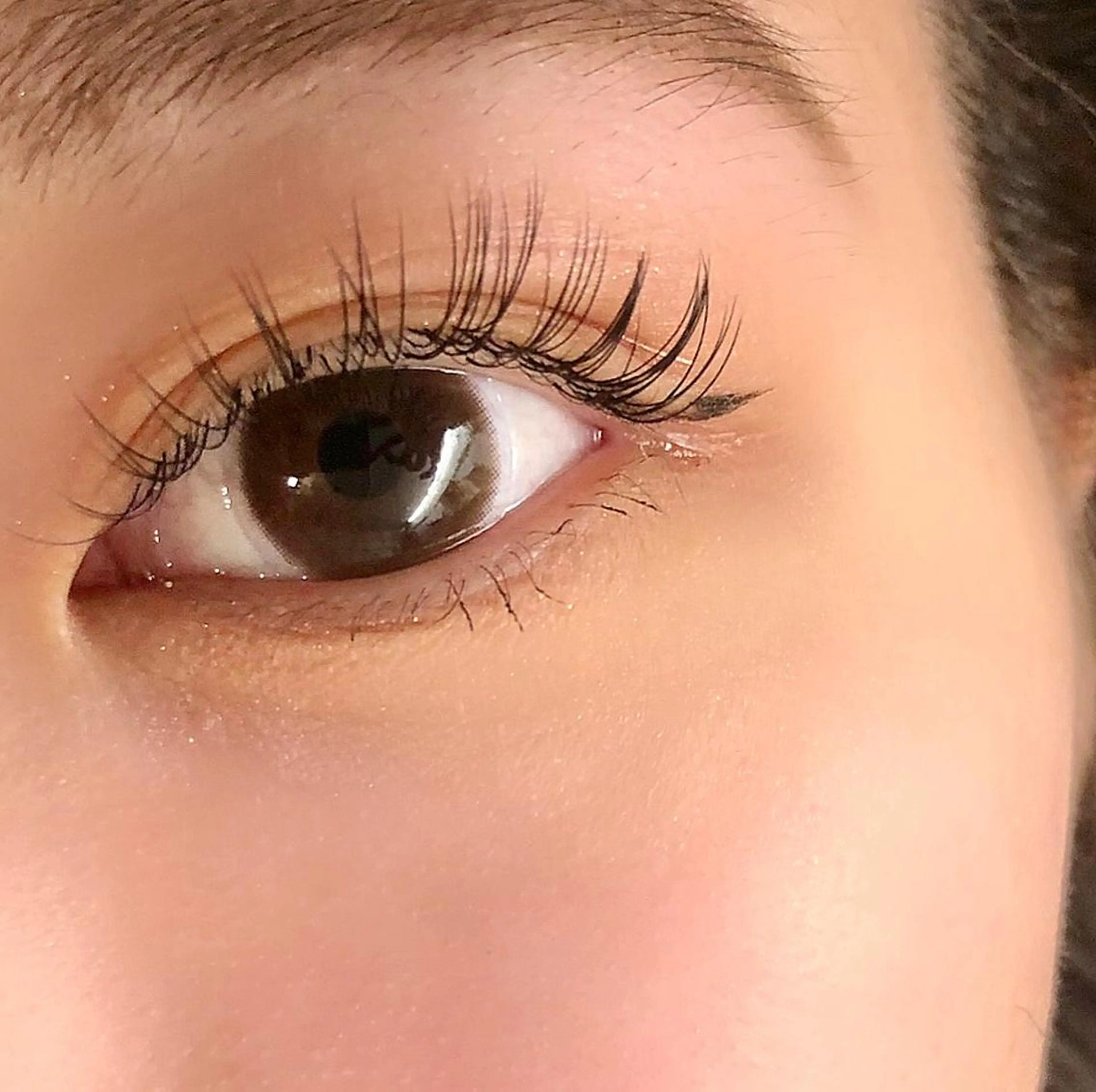 マツエク・マツパ CAMELLIA カメリアのマツエク・マツパデザイン