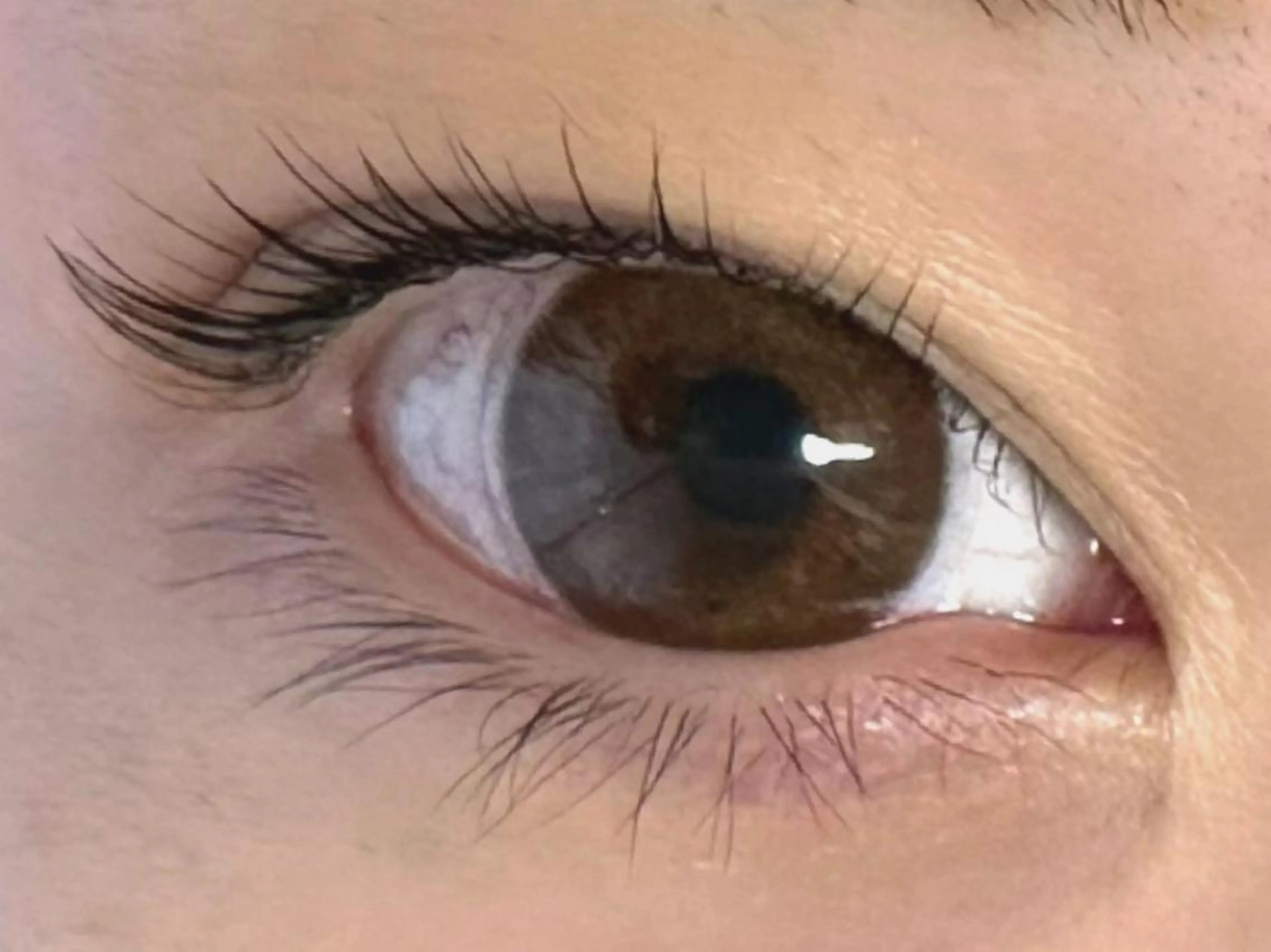 マツエク・マツパ パリジェンヌラッシュリフト 𝐉𝐎𝐋𝐈 アイリスト ❤︎のマツエク・マツパデザイン