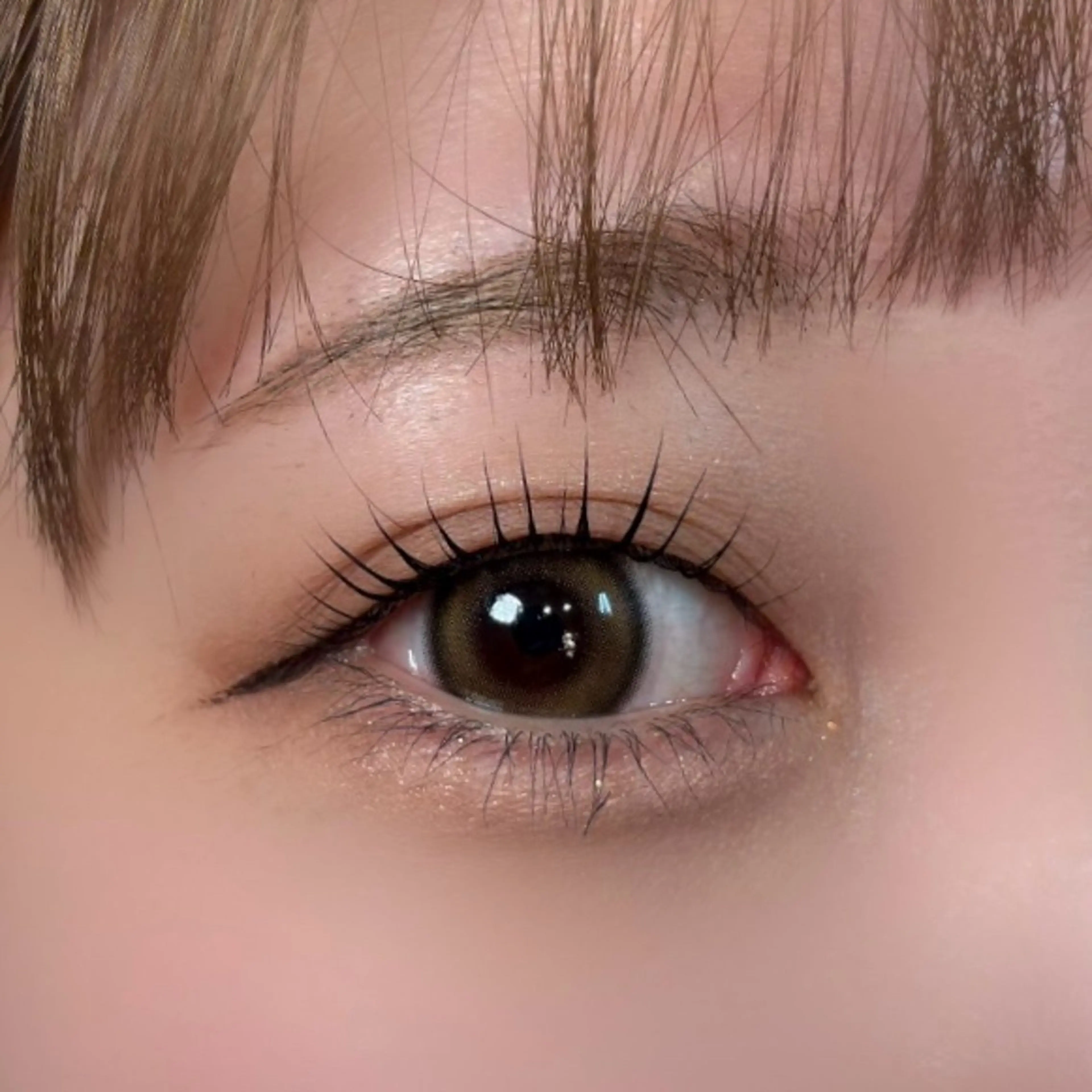 【学割】ケラチンラッシュリフト+コーティング仕上げの写真