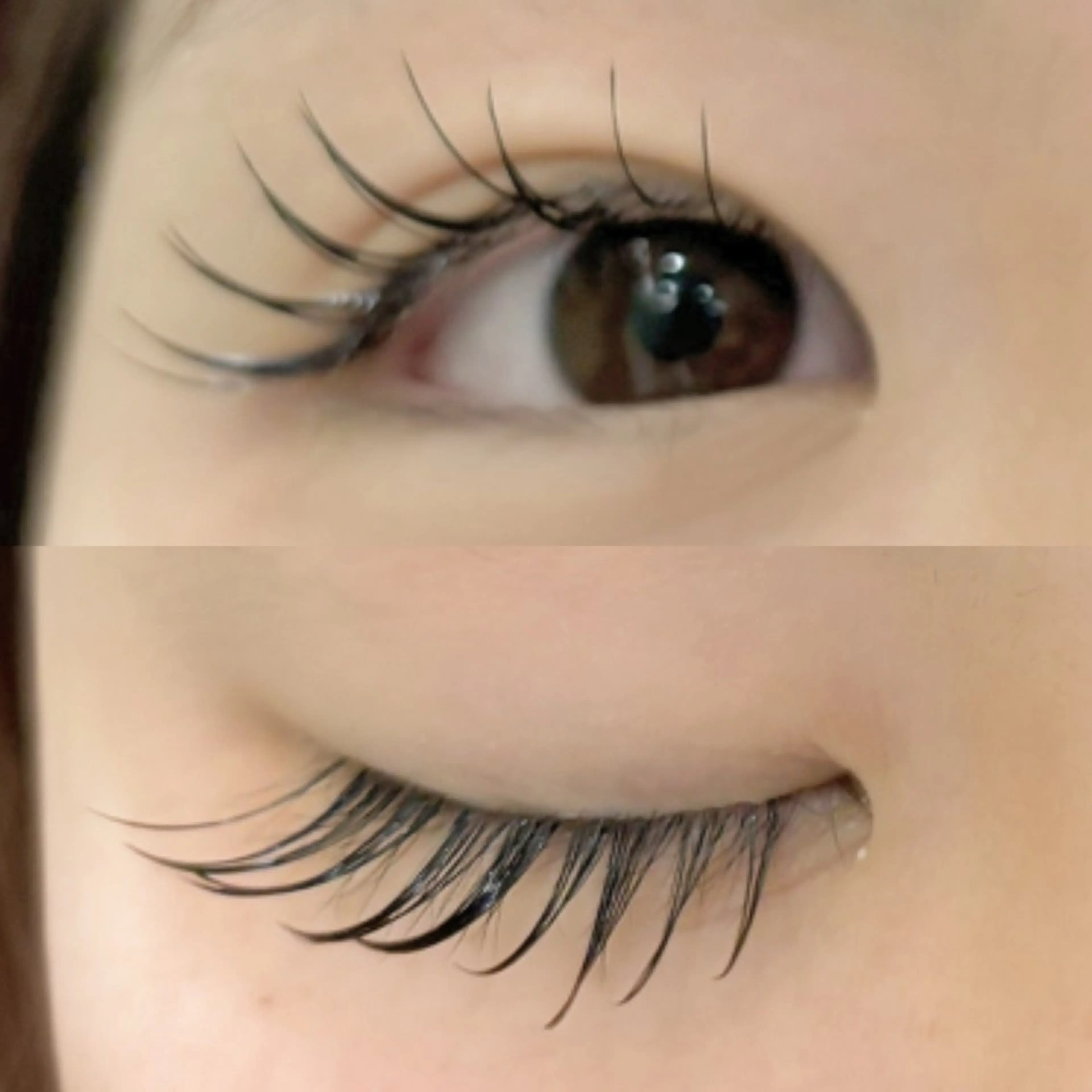 マツエク・マツパ Cカール セーブル Dolly Lash 松本のマツエク・マツパデザイン