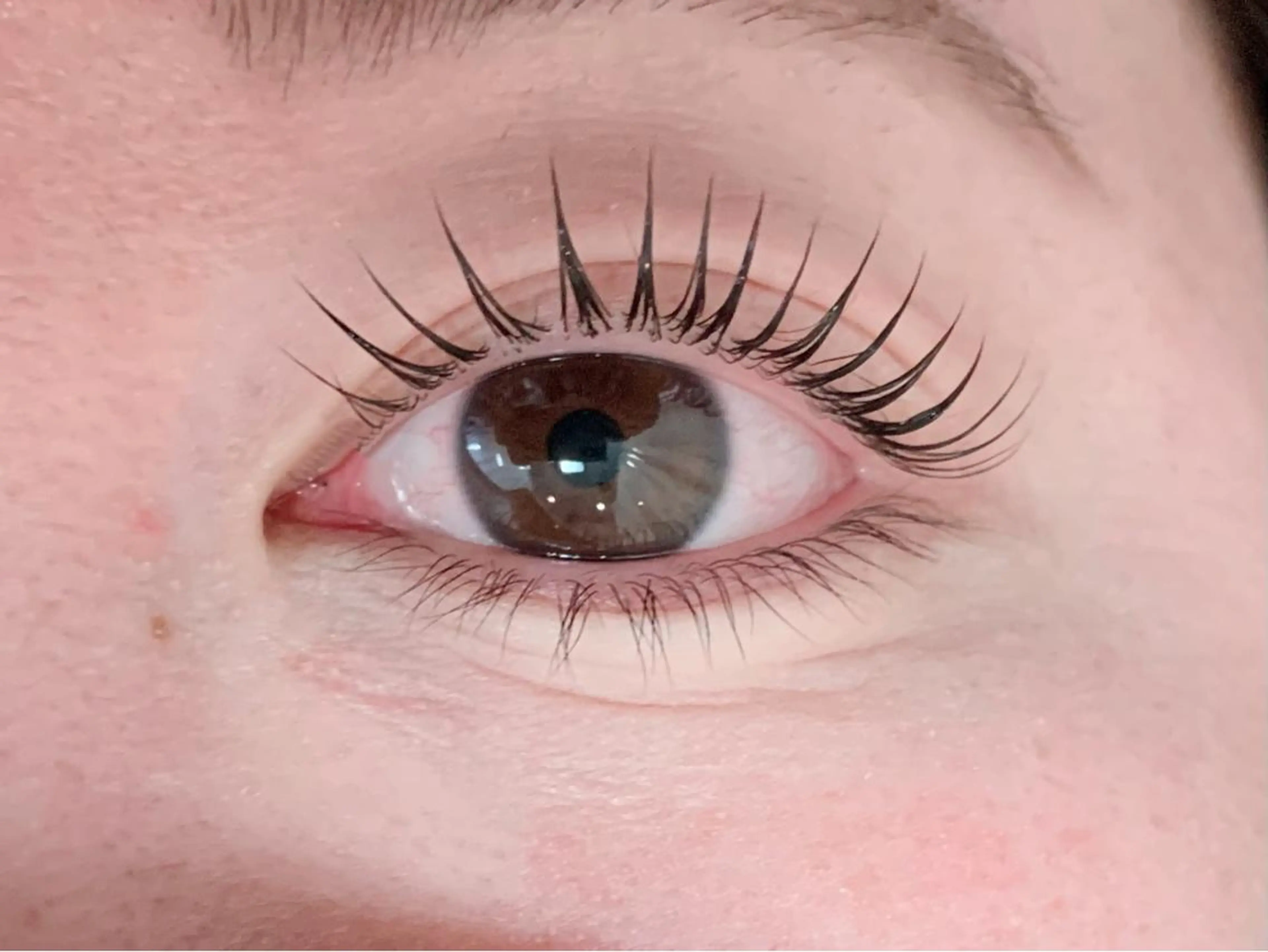 マツエク・マツパ 一重×まつ毛パーマ passion茨木 【風張】のマツエク・マツパデザイン