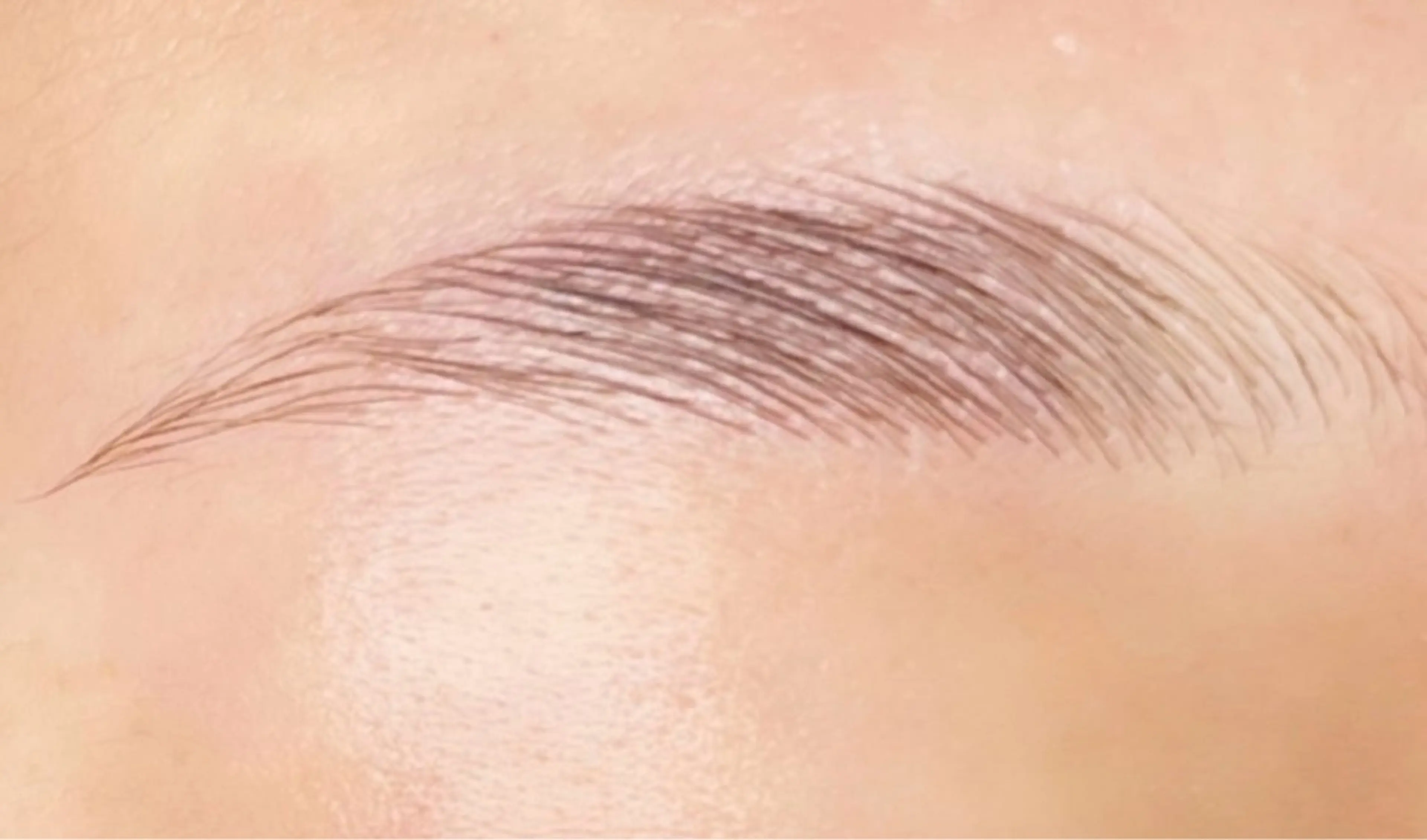 アイブロウ BerryEyes町田店所属・BerryEyes 町田店の眉毛・アイブロウイメージ