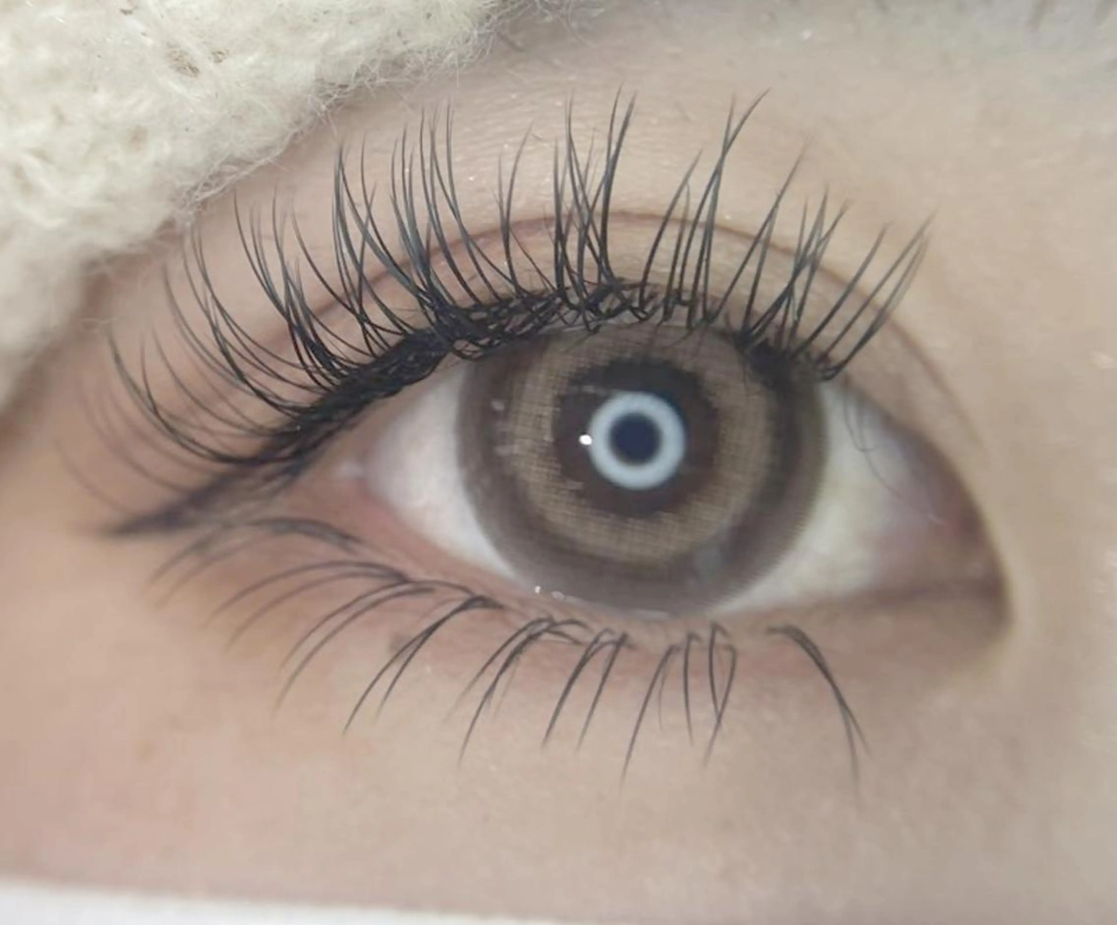 マツエク・マツパ Lカール ベネ ビューティサロンのマツエク・マツパデザイン