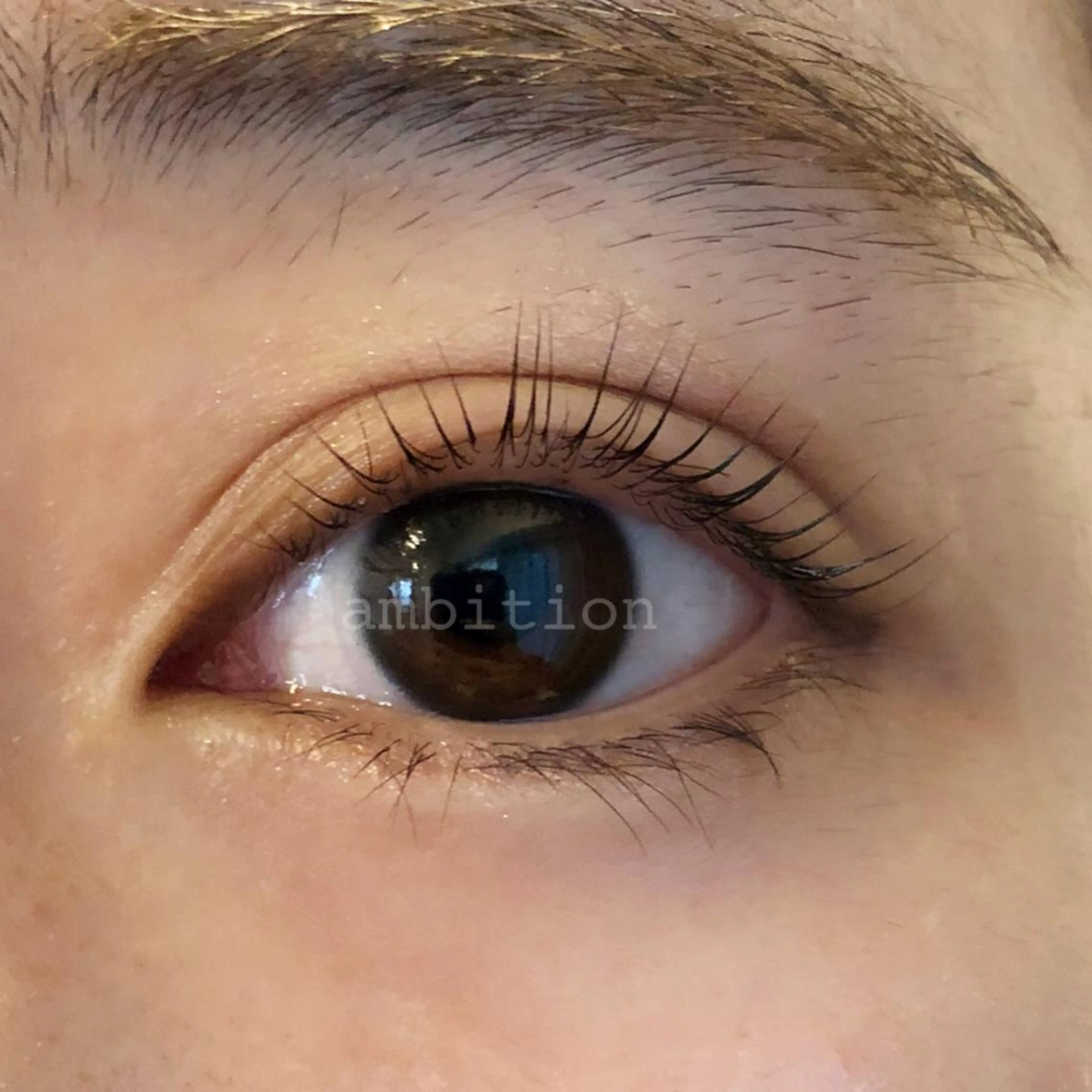 マツエク・マツパ パリジェンヌラッシュリフト Daisy Lash 梅田本店のマツエク・マツパデザイン