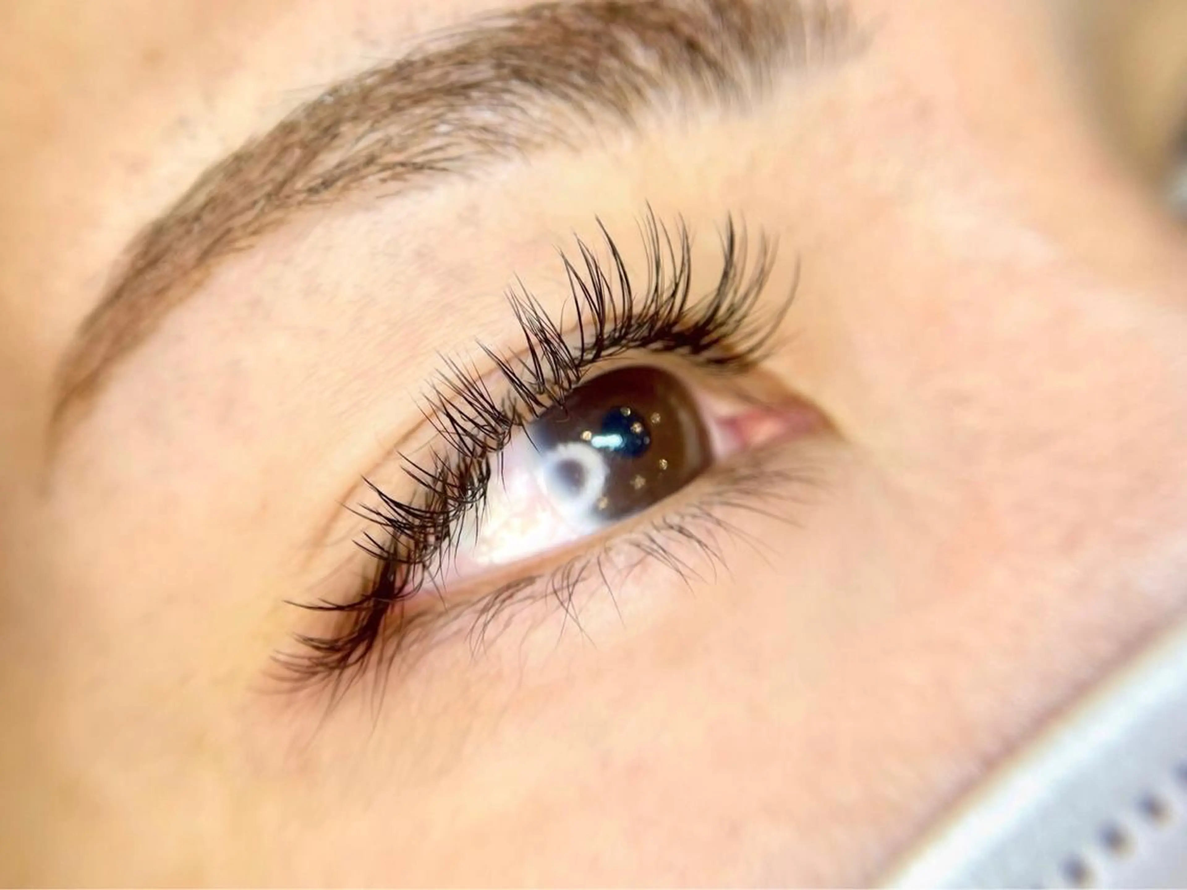 バインドロック【100束】オフなし🌟 アイケア付き◎ブラウン変更可能の写真