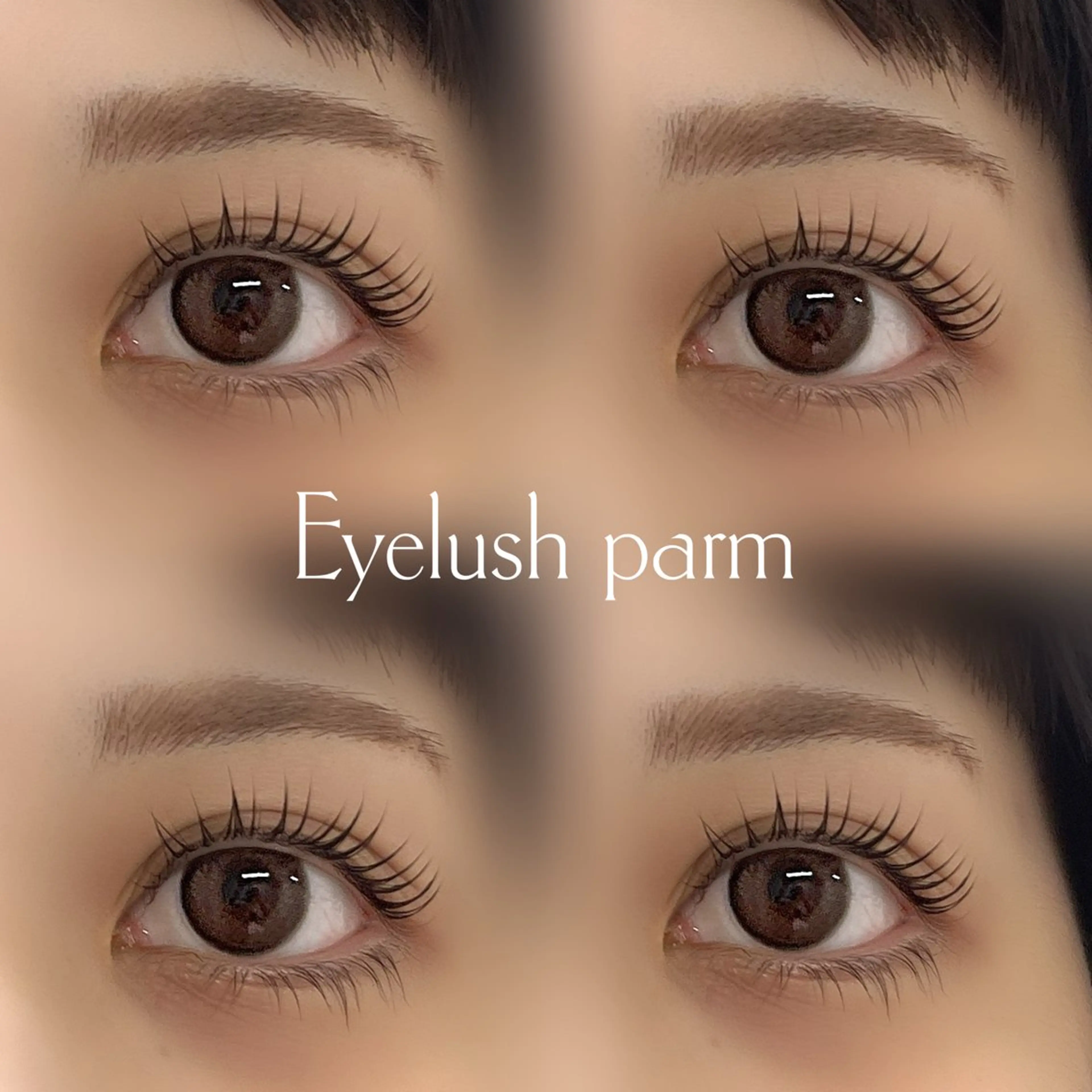 マツエク・マツパ マツパ purple aster名駅店所属・名駅/名古屋/ まつパ/Kannaのマツエク・マツパデザイン