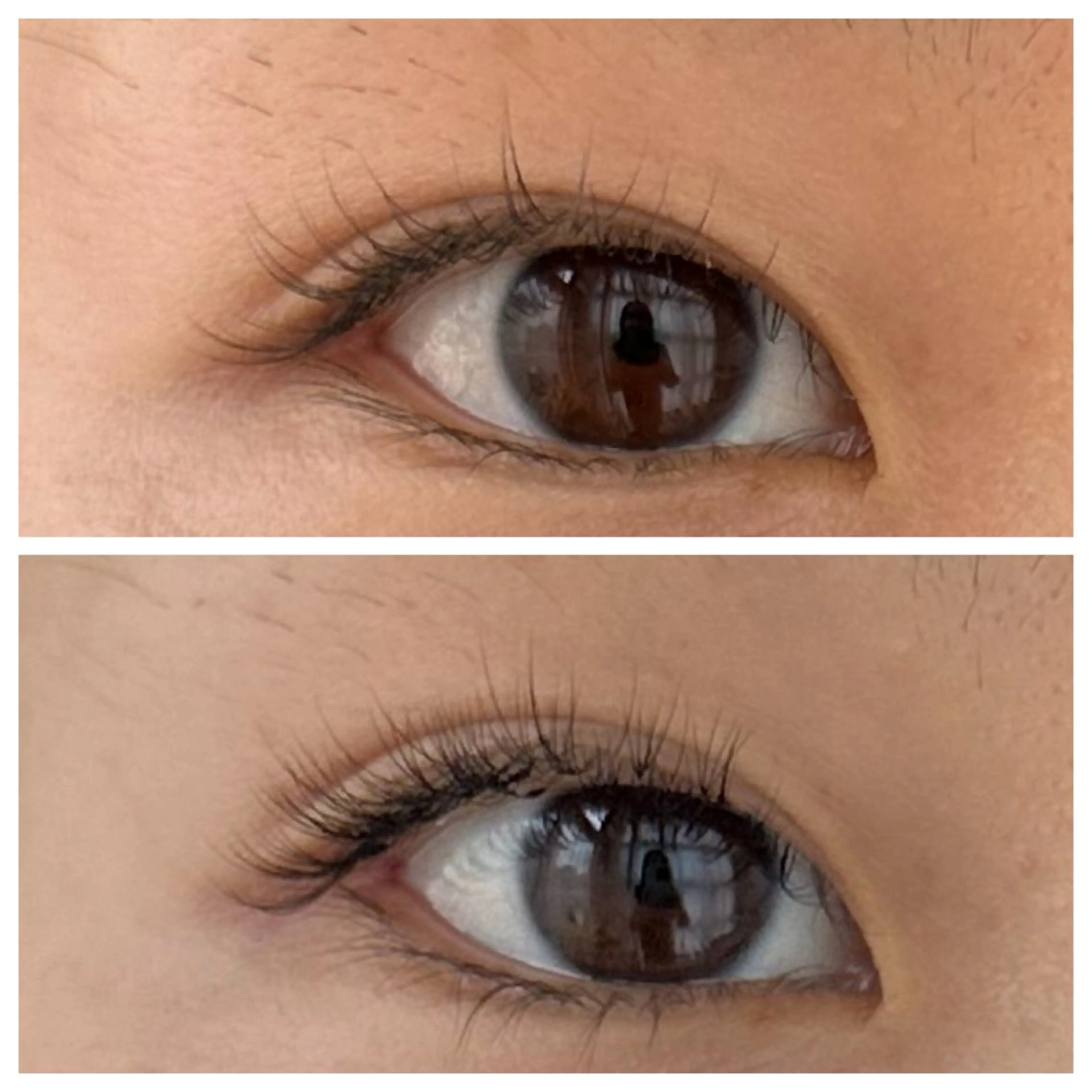 マツエク・マツパ ボリュームラッシュ ORTENSIA 六本松のマツエク・マツパデザイン