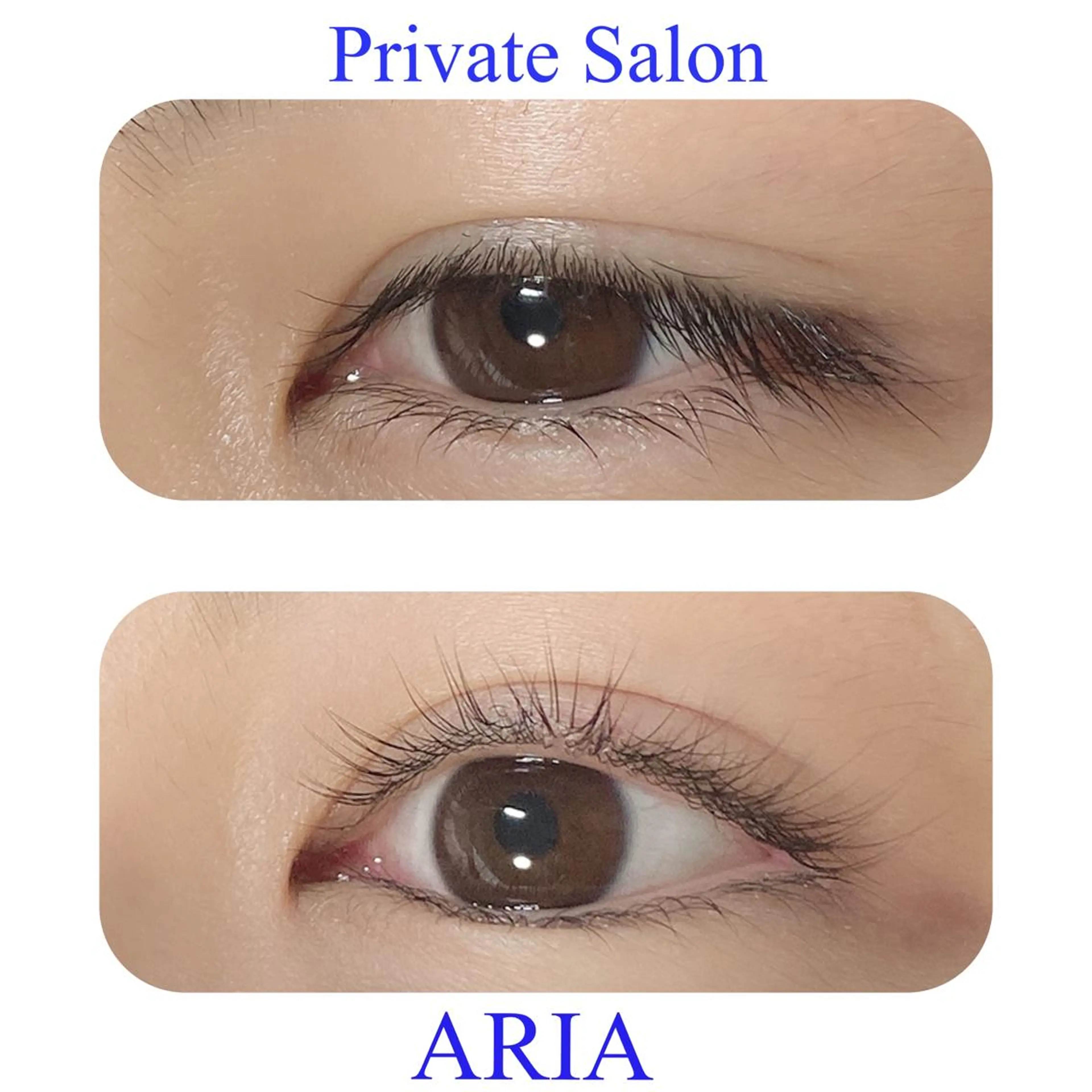 マツエク・マツパ まつげパーマ マツパ ARIA所属・ARIAプライベート サロン五反田のマツエク・マツパデザイン