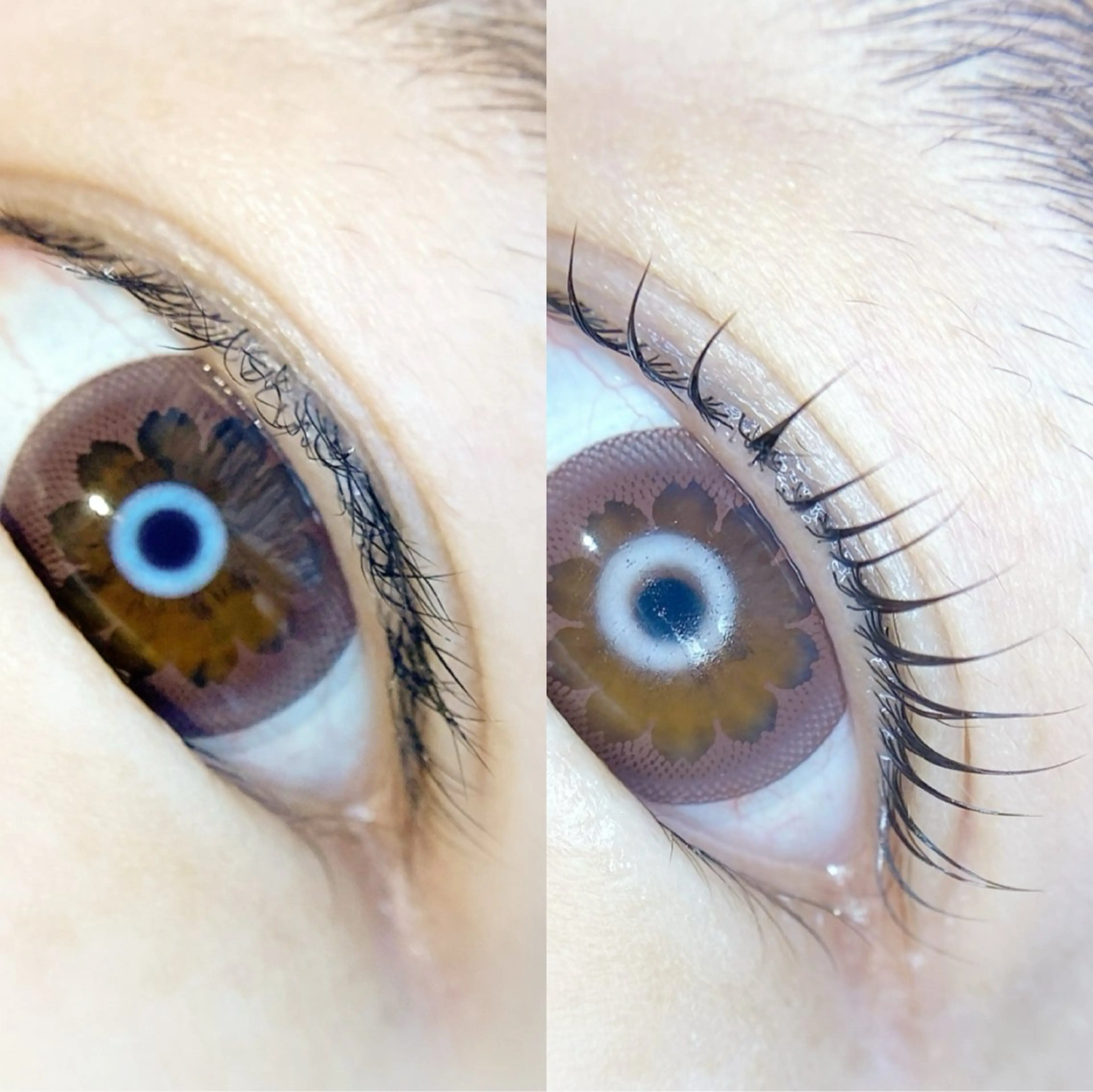 マツエク・マツパ 【Calm藤沢店】 MIKAMI REIのマツエク・マツパデザイン