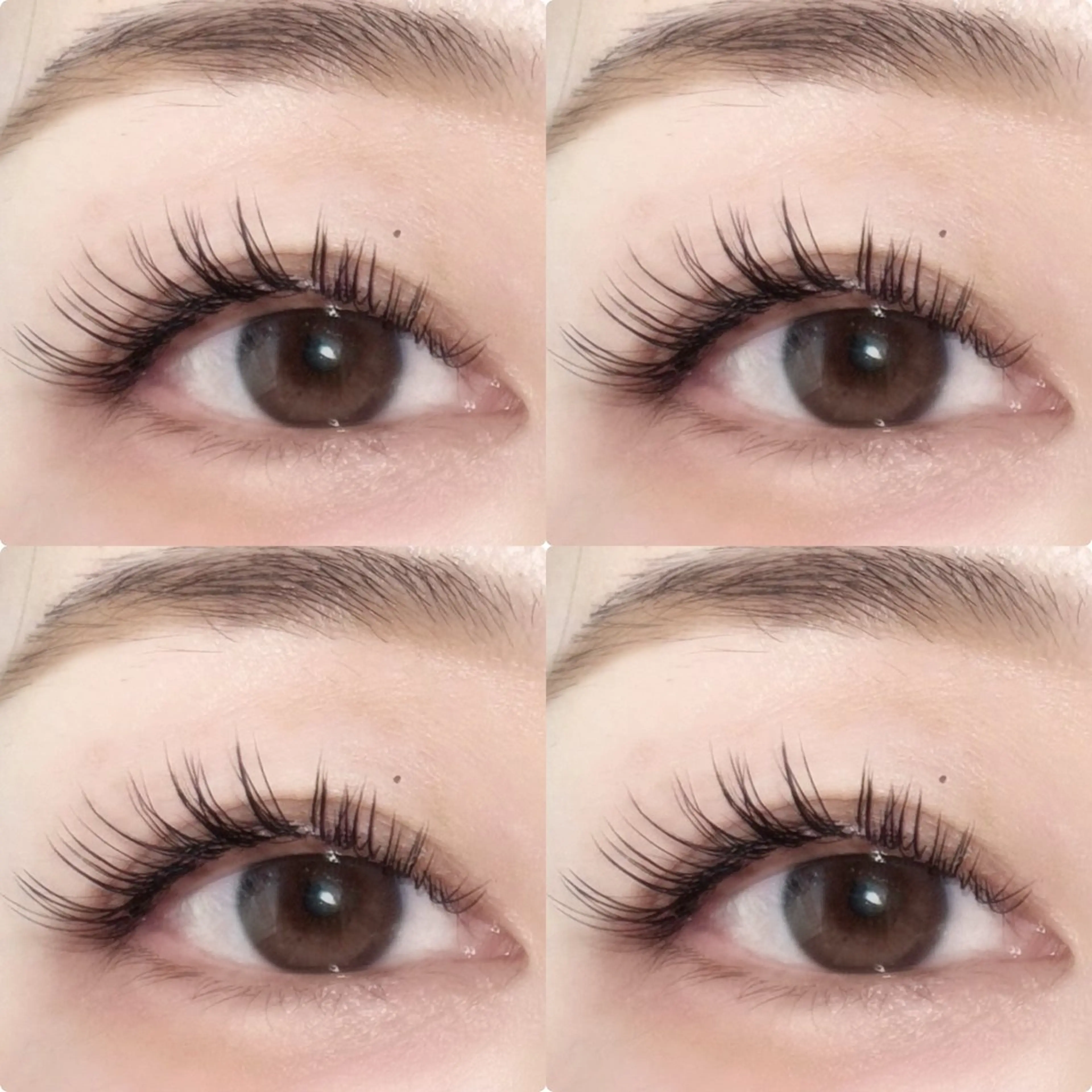 マツエク・マツパ lomlロムル所属・yoshi chikaのマツエク・マツパデザイン