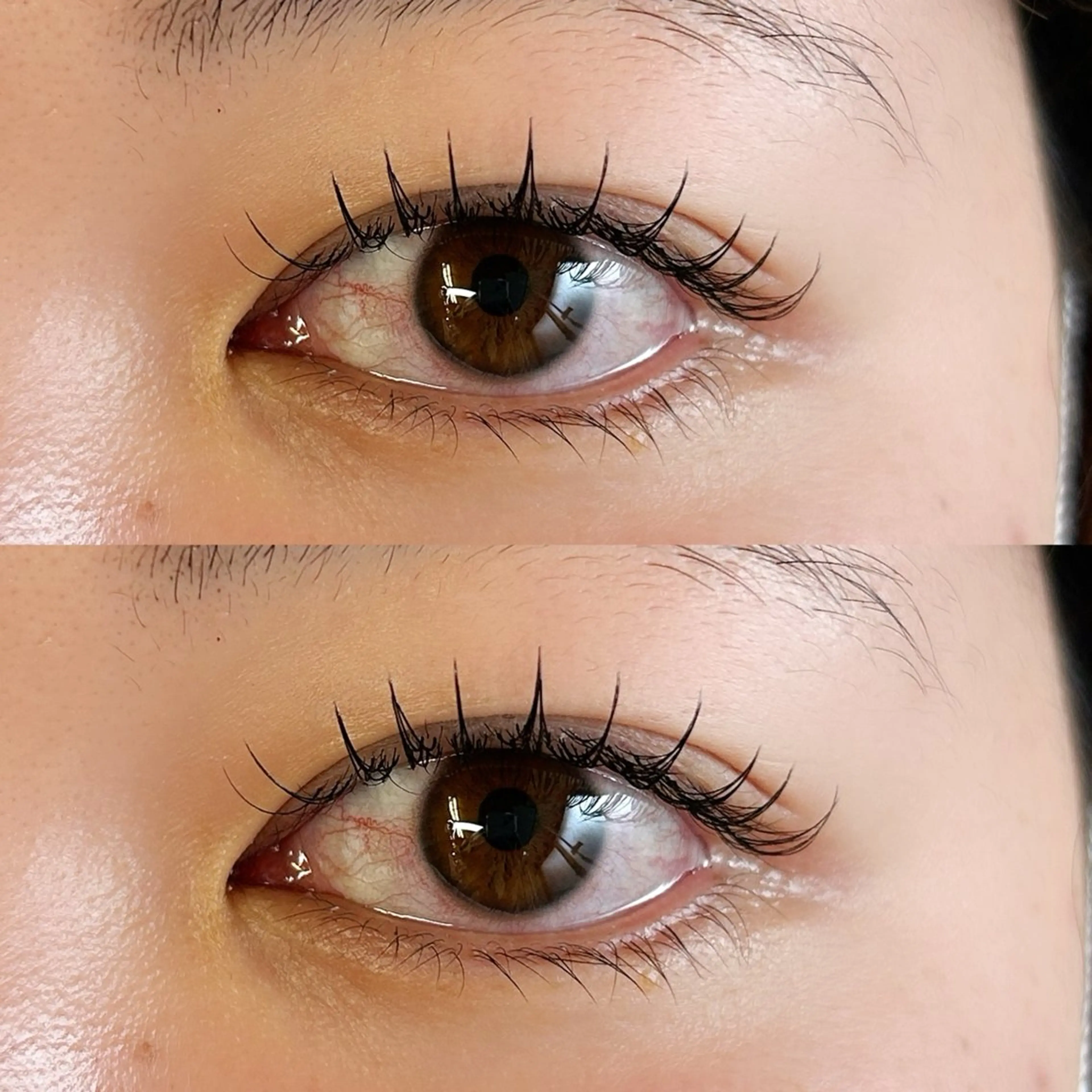 マツエク・マツパ ani 【アニ】所属・ani 【アニ】 恵比寿のマツエク・マツパデザイン