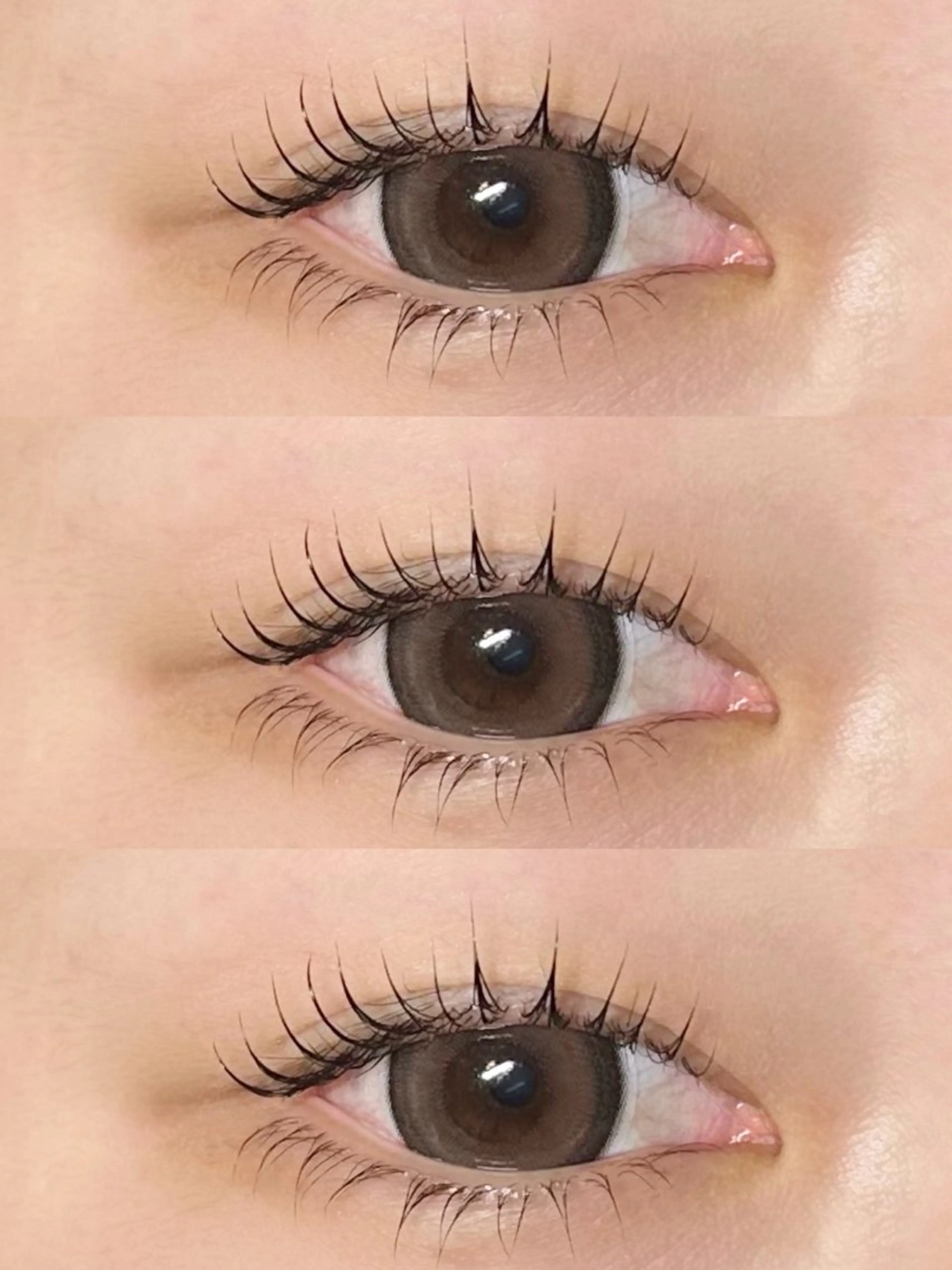 上下パーマ/デザイン3種類から選べるラッシュリフト🫧の写真