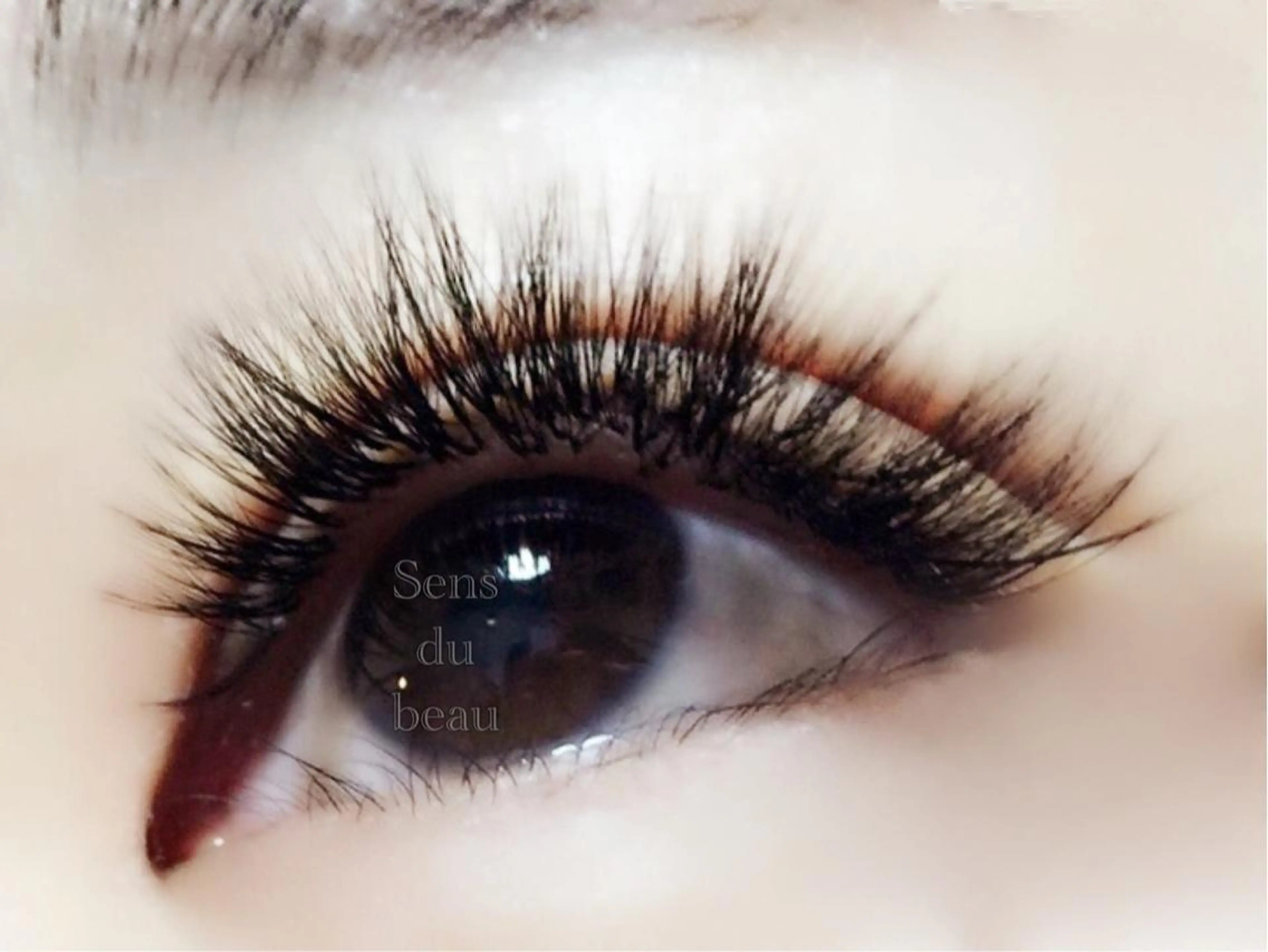 バインドラッシュ無制限つけ放題の写真