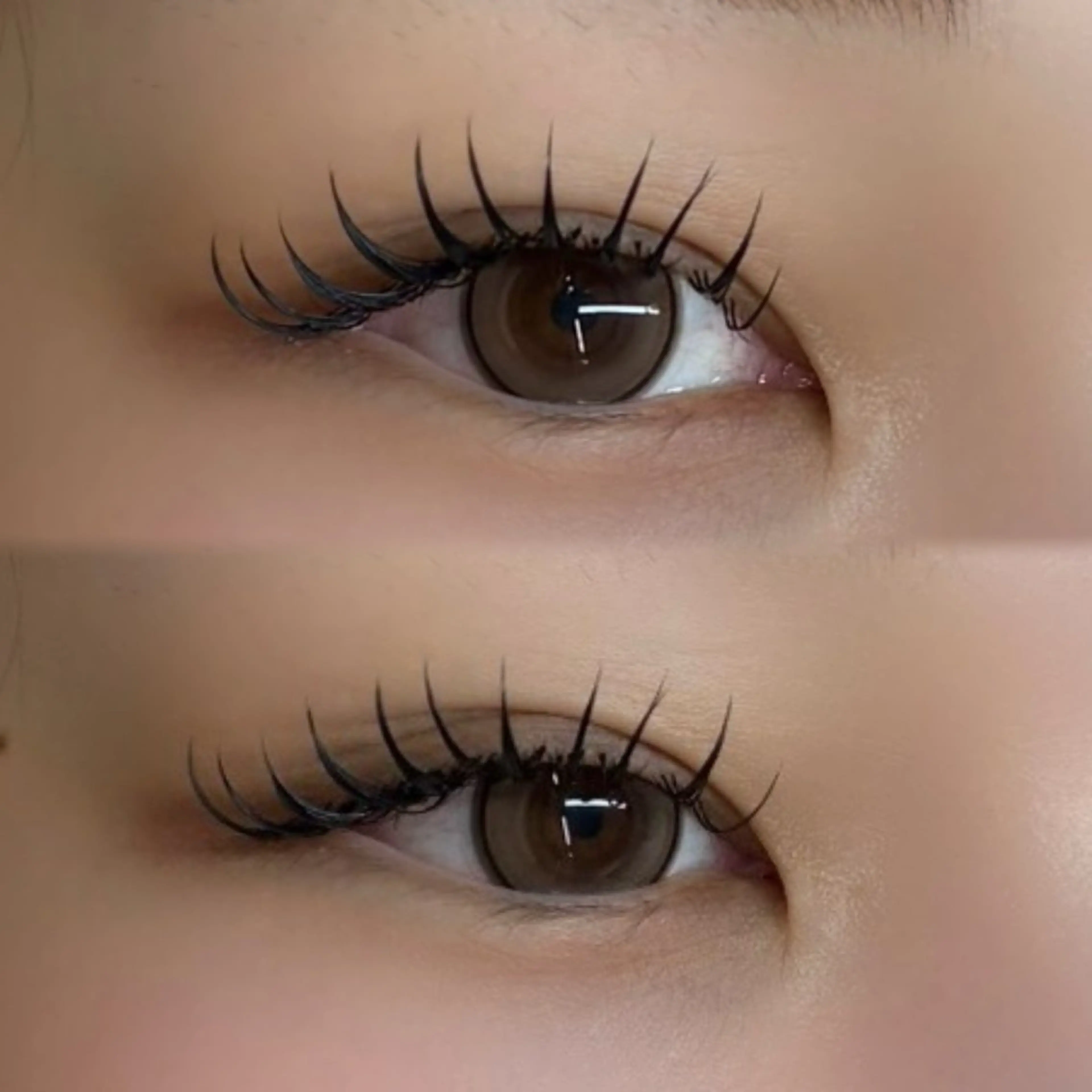 🌺バインドロック🌺100束まで付け放題の写真