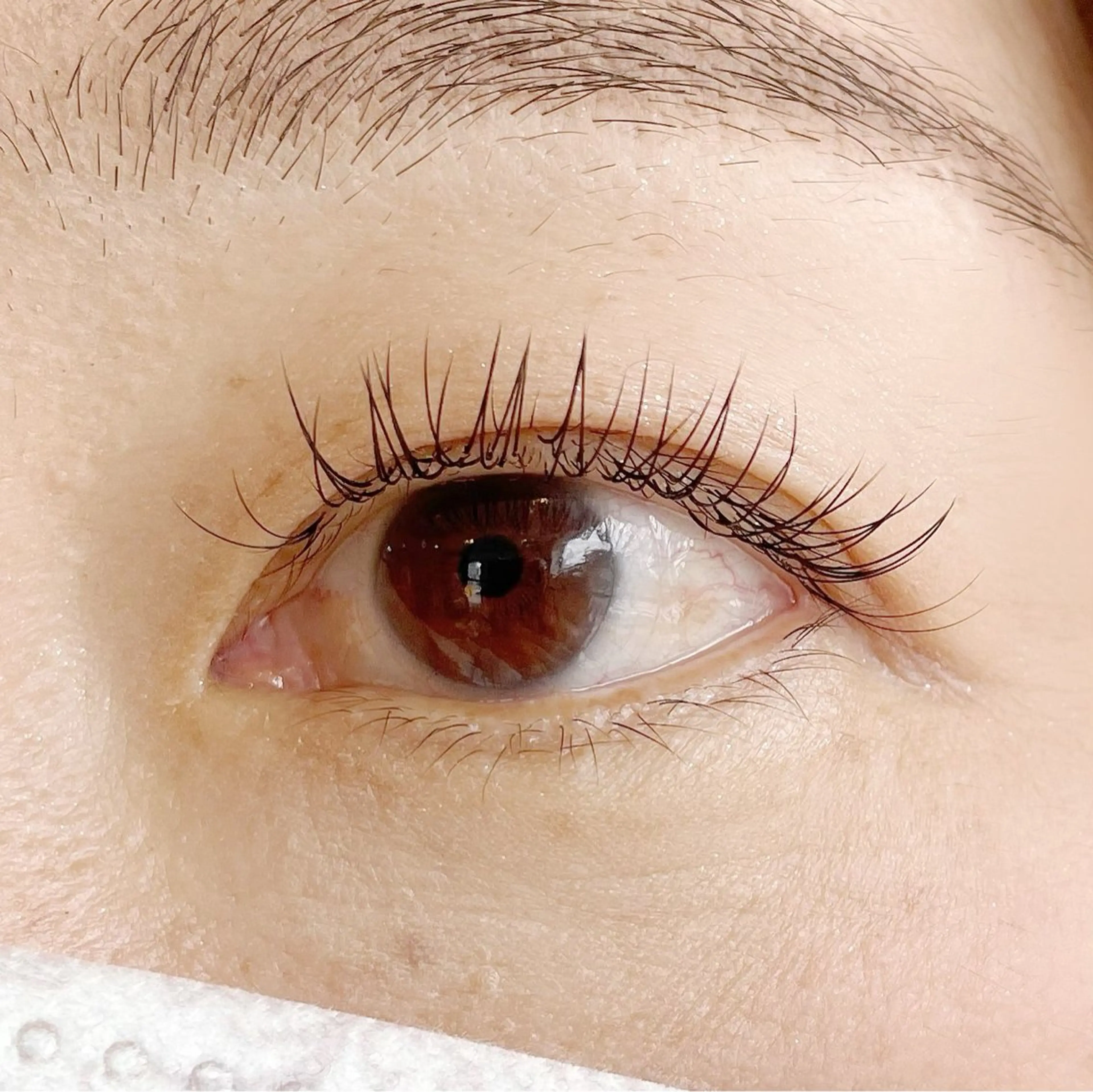 マツエク・マツパ マツエク Mei🌼 Epillのマツエク・マツパデザイン