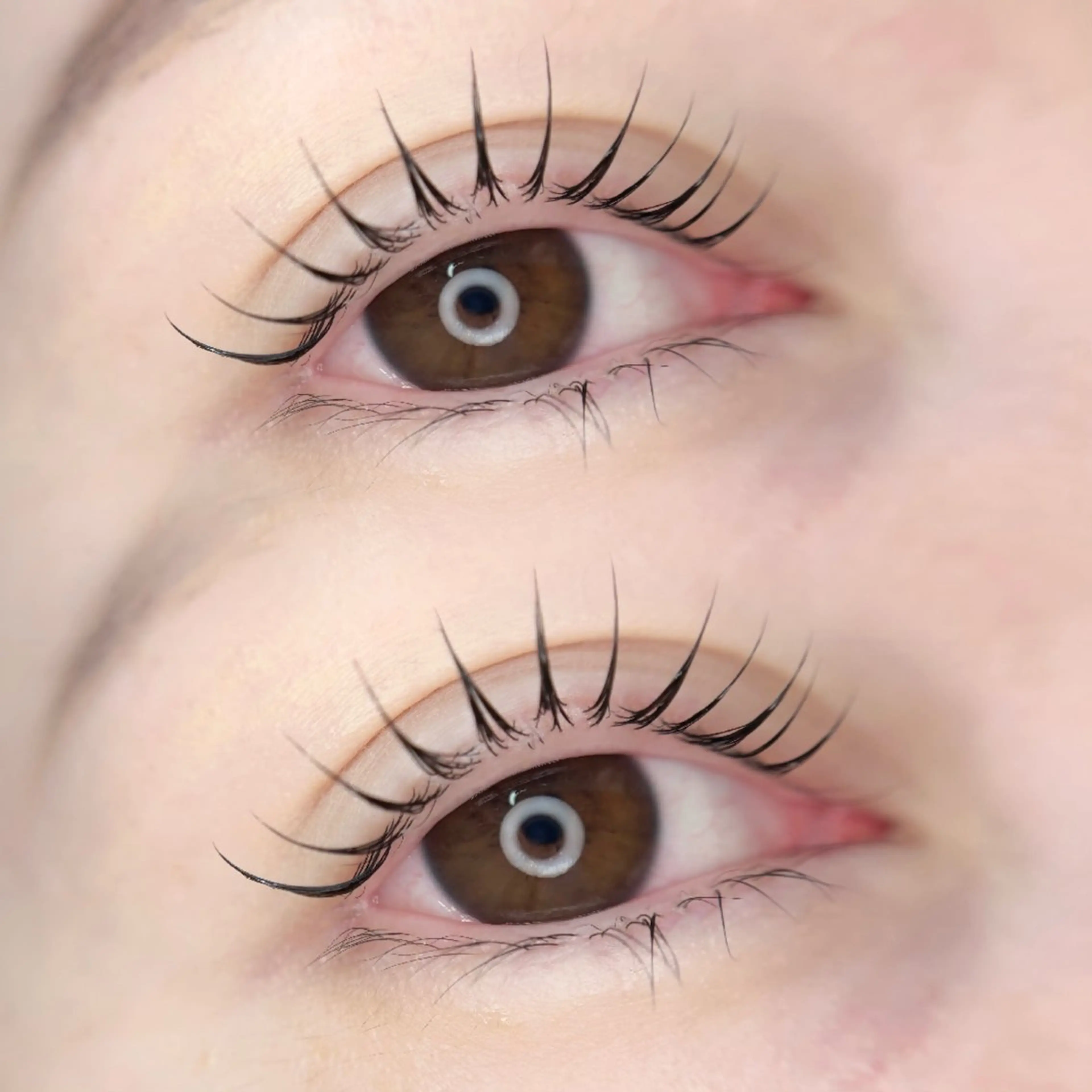 🔰1月限定🔰【似合わせラッシュリフト】の写真