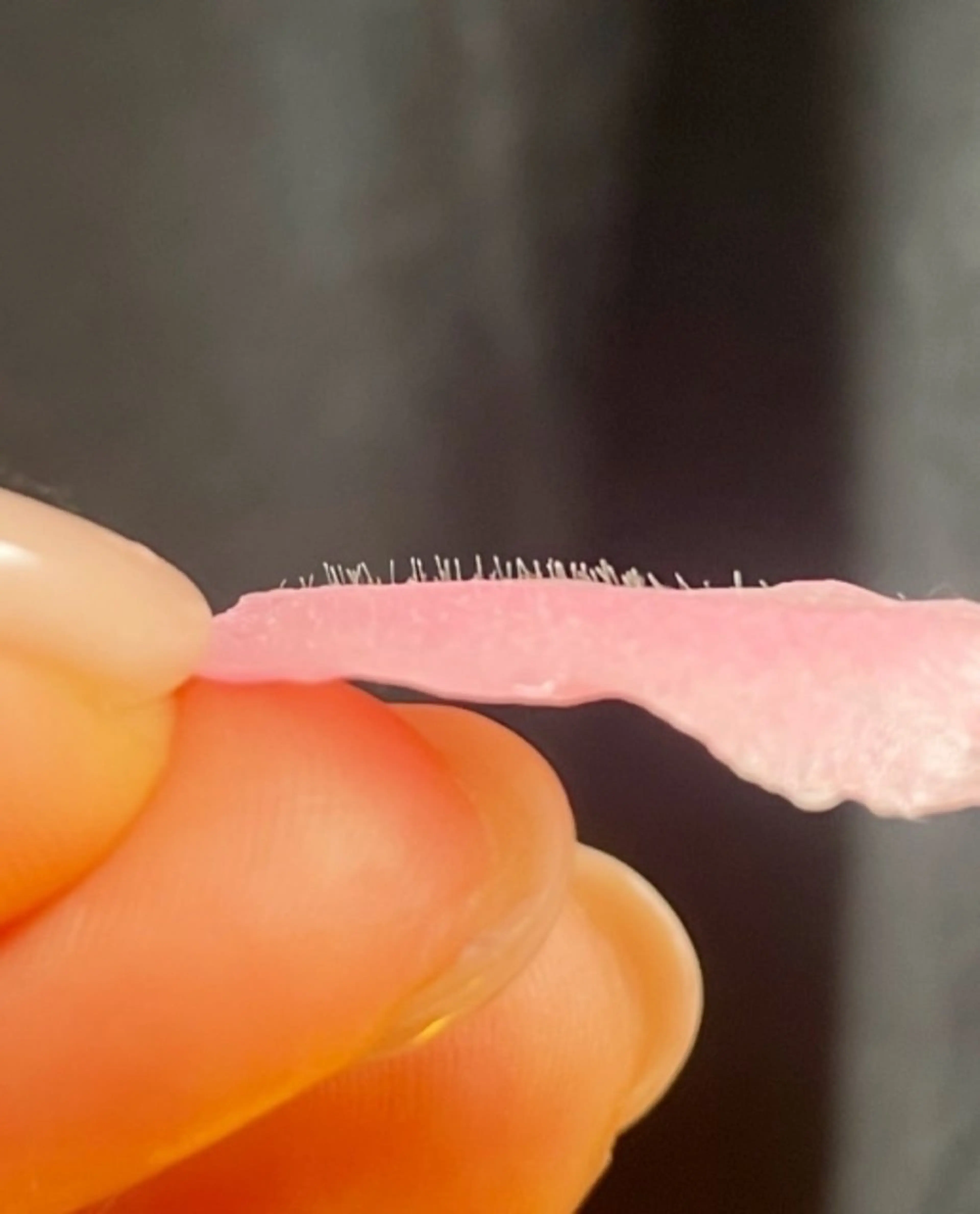 eyelash salon.SUNNY.所属・SUNNY.☀ RENAのマツエク・マツパデザイン