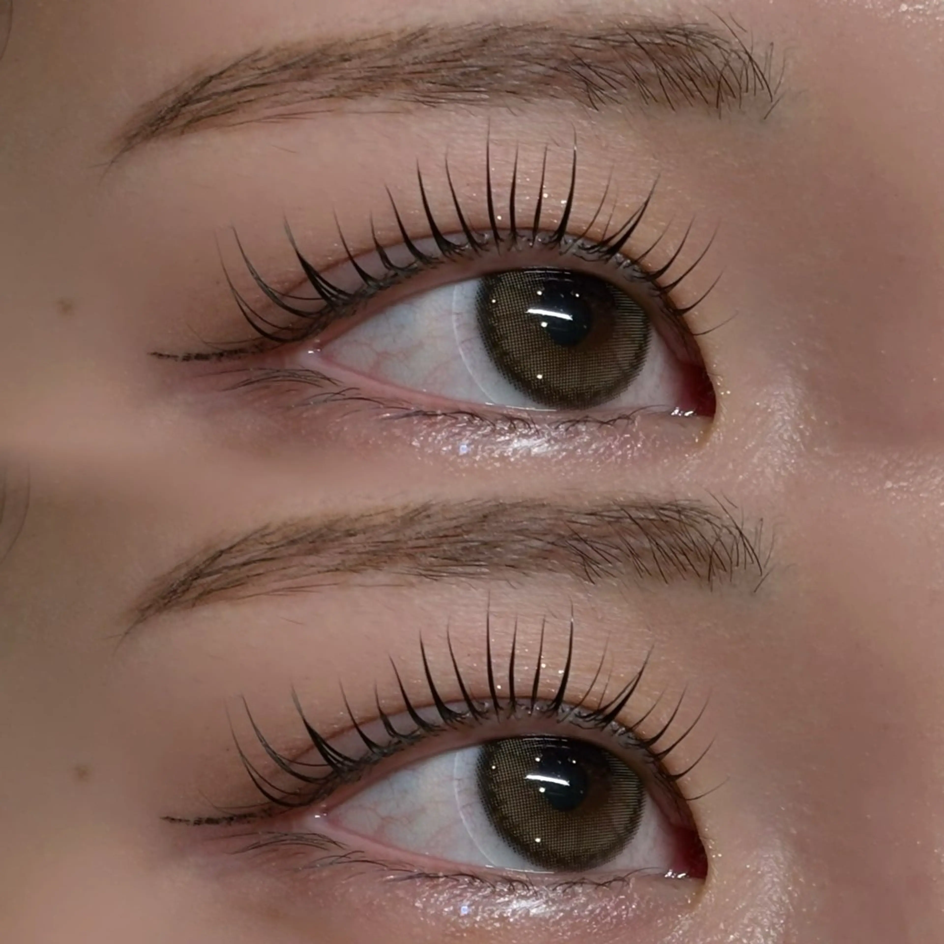 マツエク・マツパ パリジェンヌラッシュリフト miyu / sofa吉祥寺のマツエク・マツパデザイン