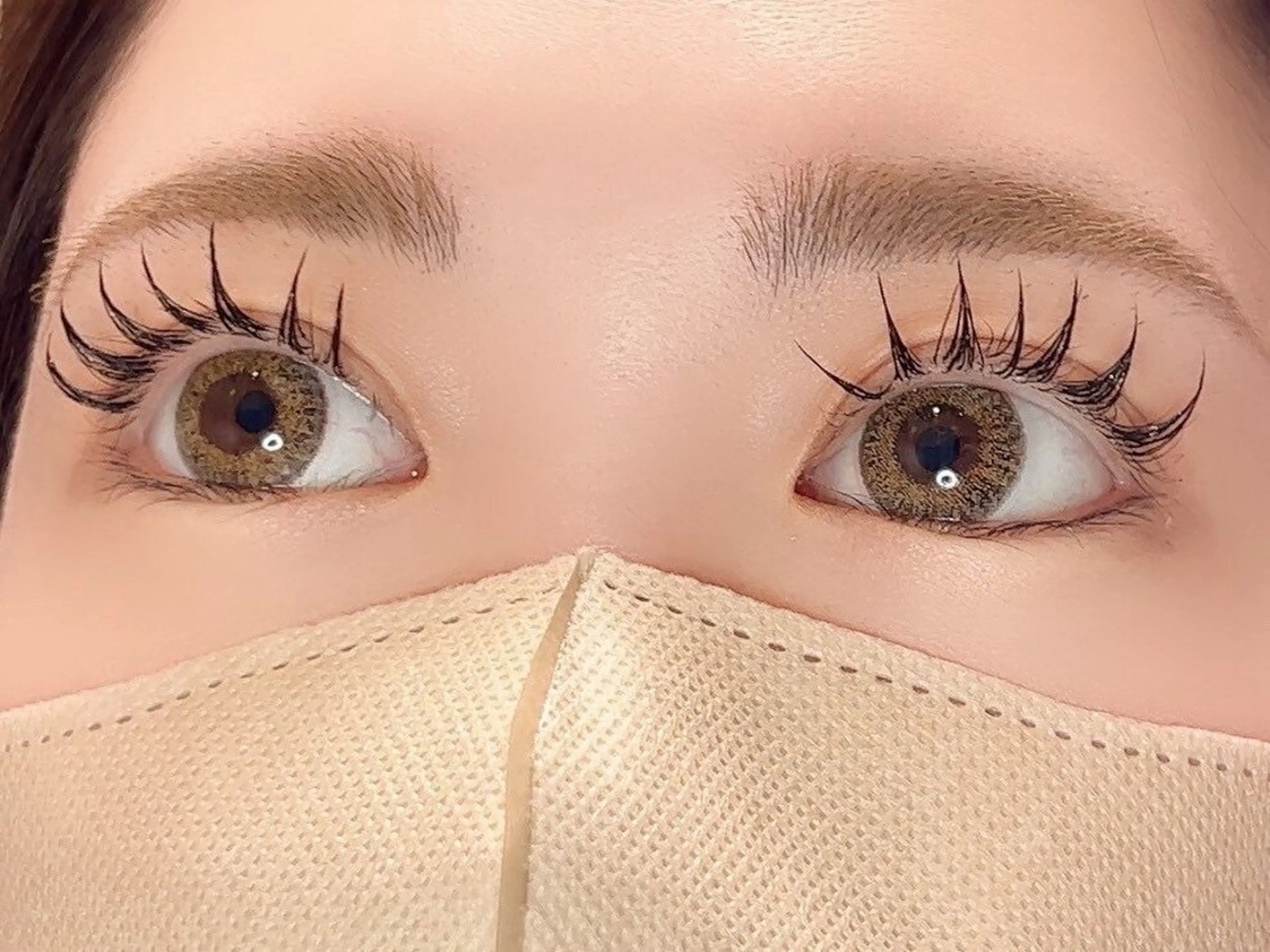 バインドロック100束の写真