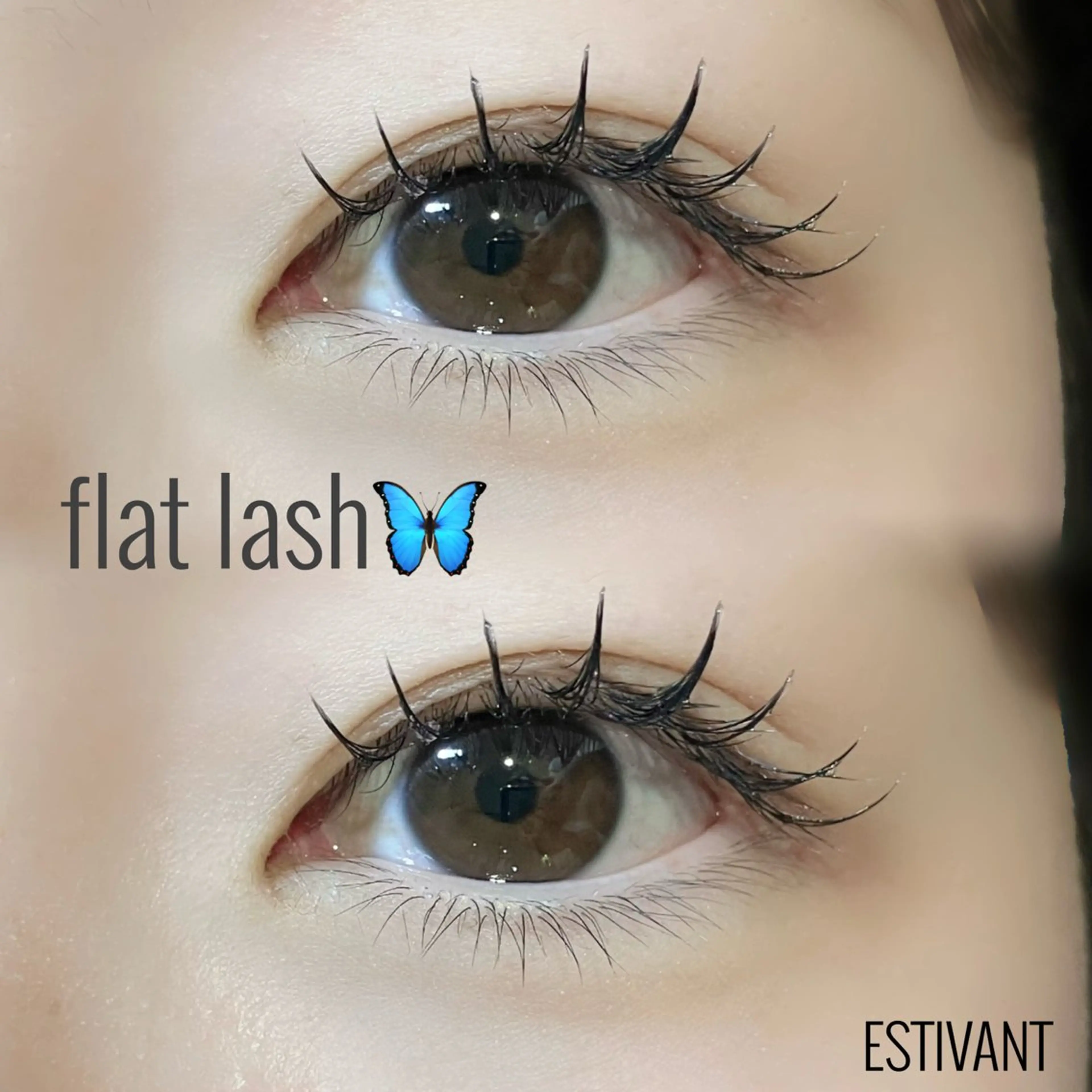 マツエク・マツパ 布施 つぐみのマツエク・マツパデザイン