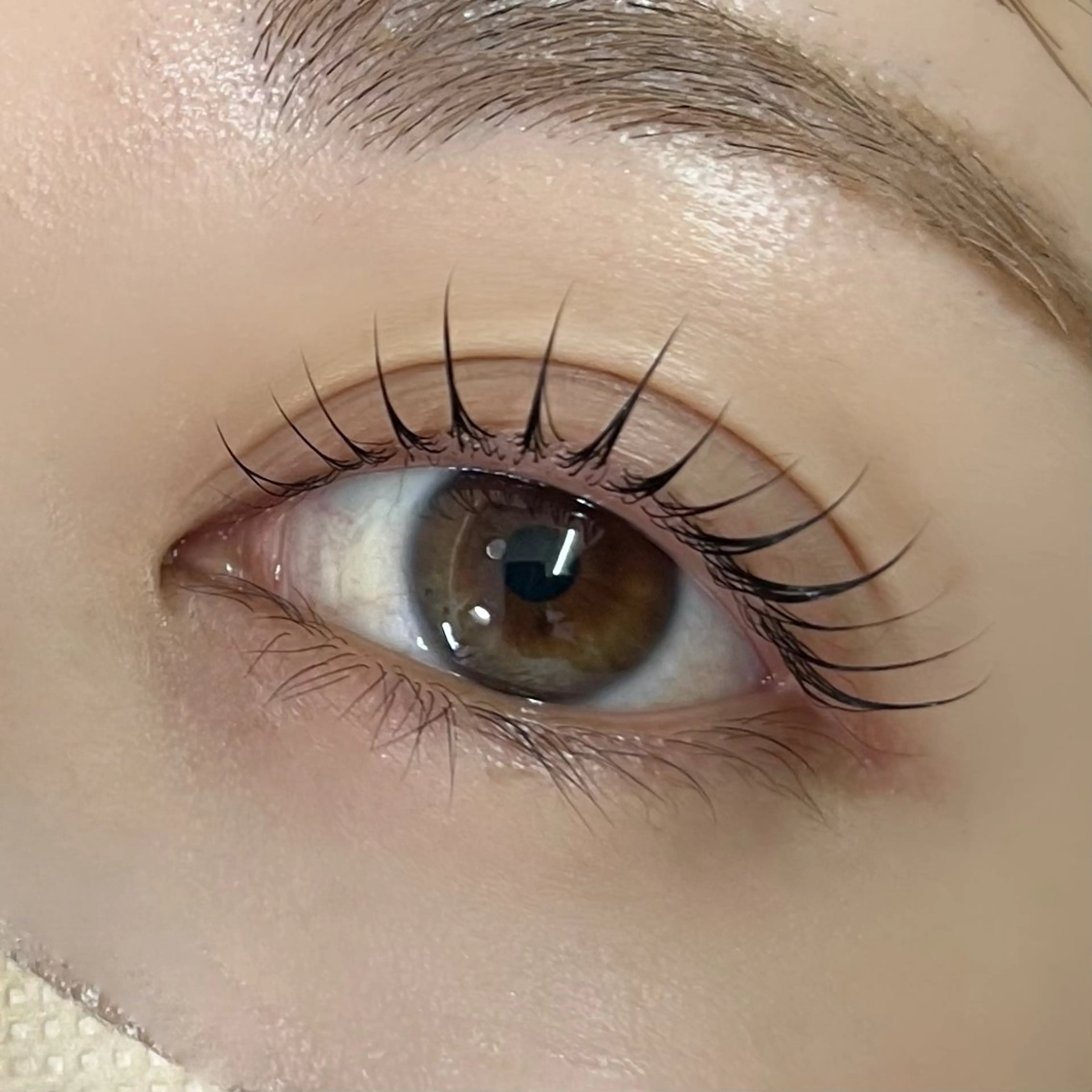 【平日ご新規様限定】まつ毛パーマ上のみ/仕上げに2種類のトリートメント付☆ （土日祝、12/24以降＋¥1000)の写真