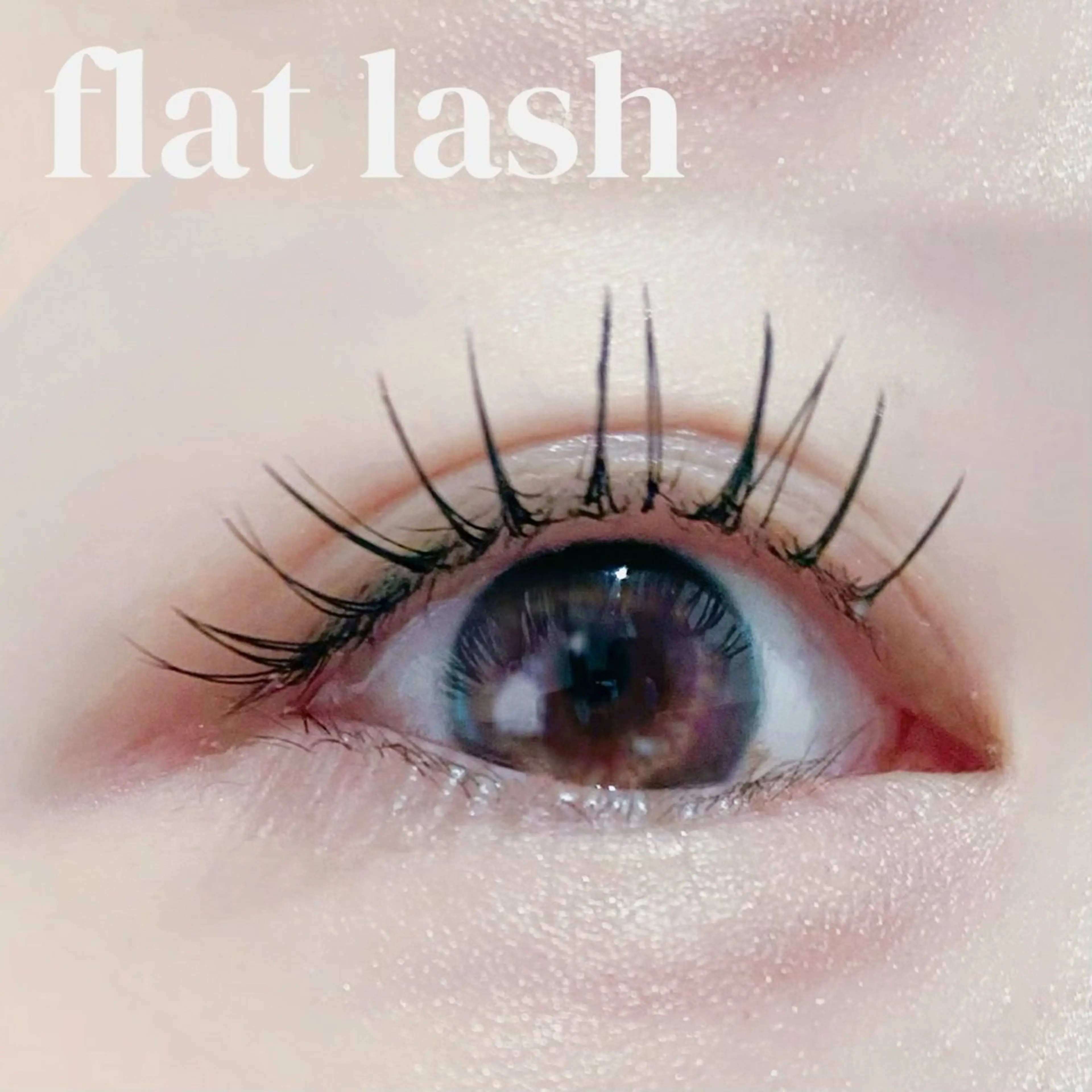 ⭐️フラットラッシュ80本(オフ込み)の写真