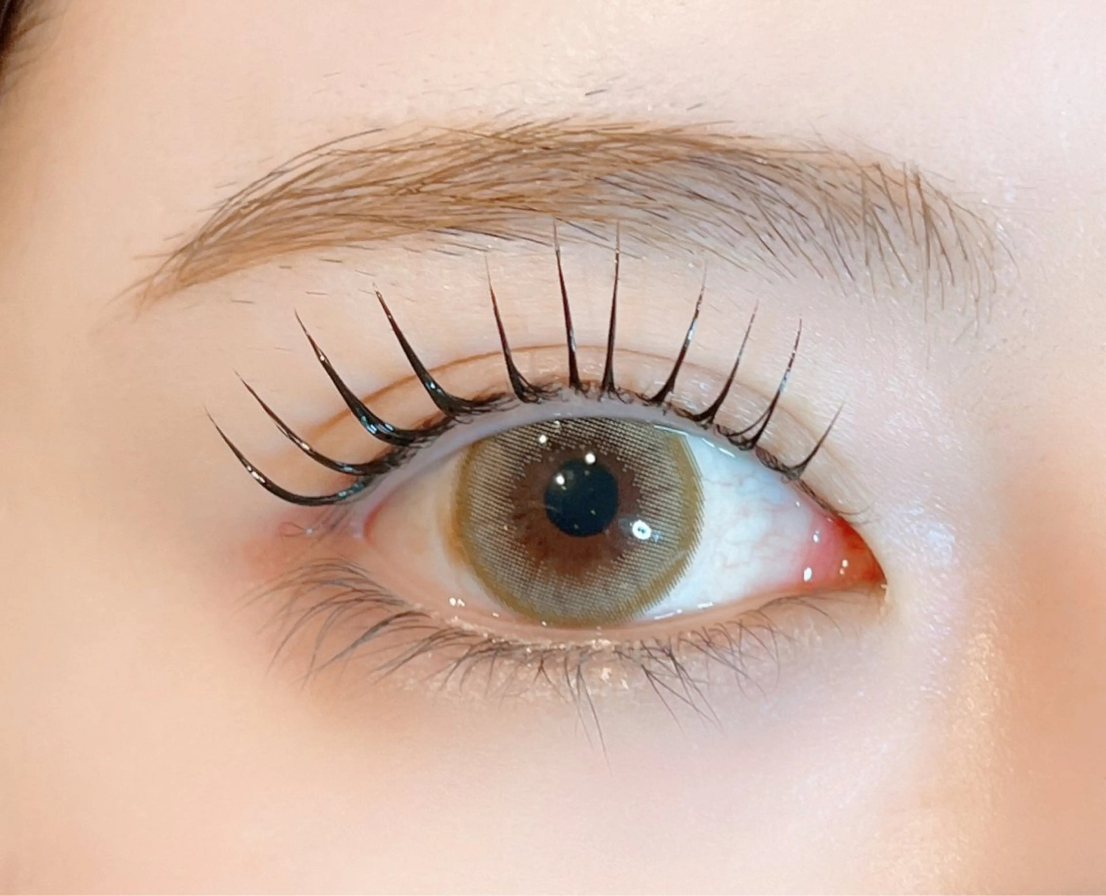 (ご新規様限定)高持続ラッシュリフト🩶の写真