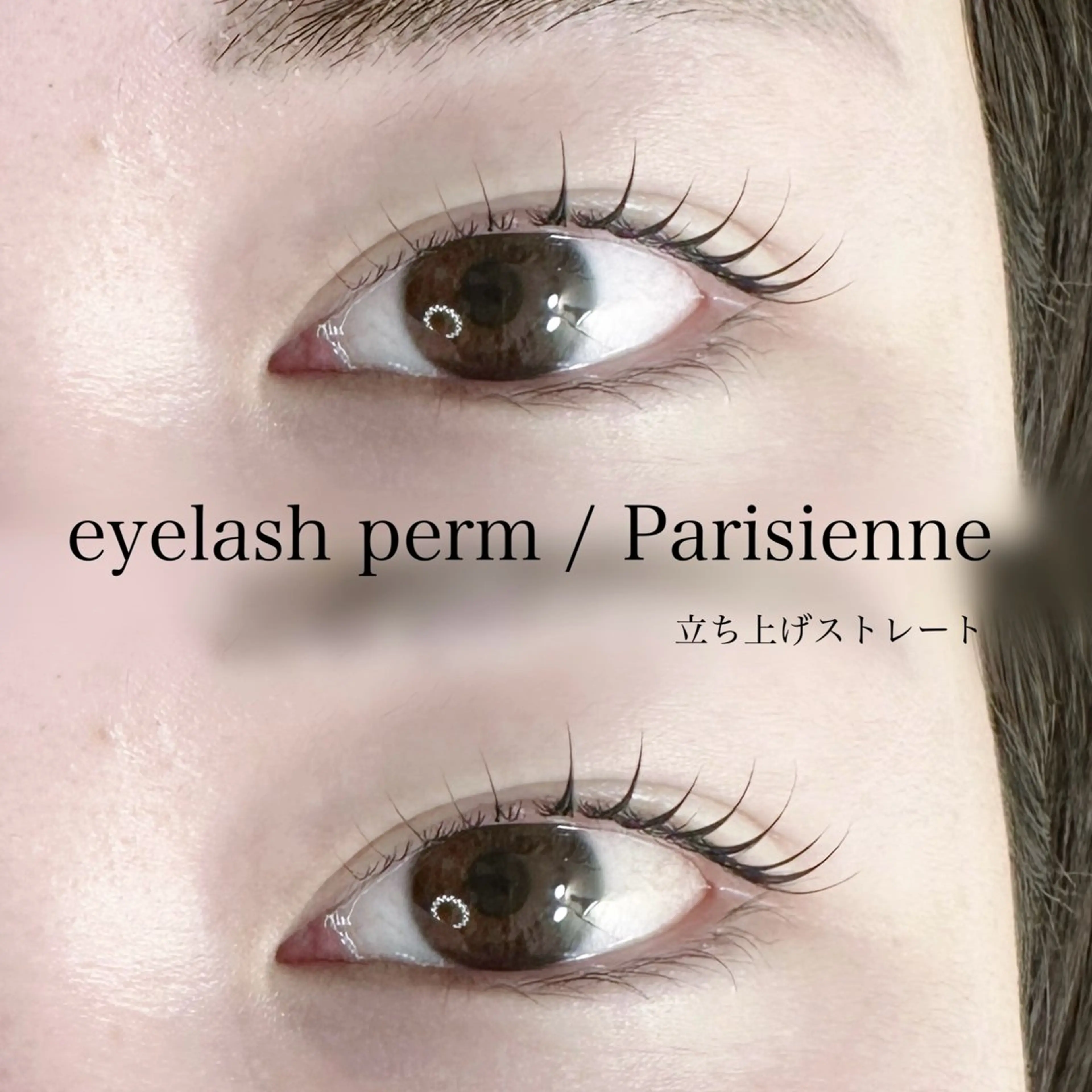 マツエク・マツパ パリジェンヌラッシュリフト マツパ マリーテレジア 🪽BANNOのマツエク・マツパデザイン