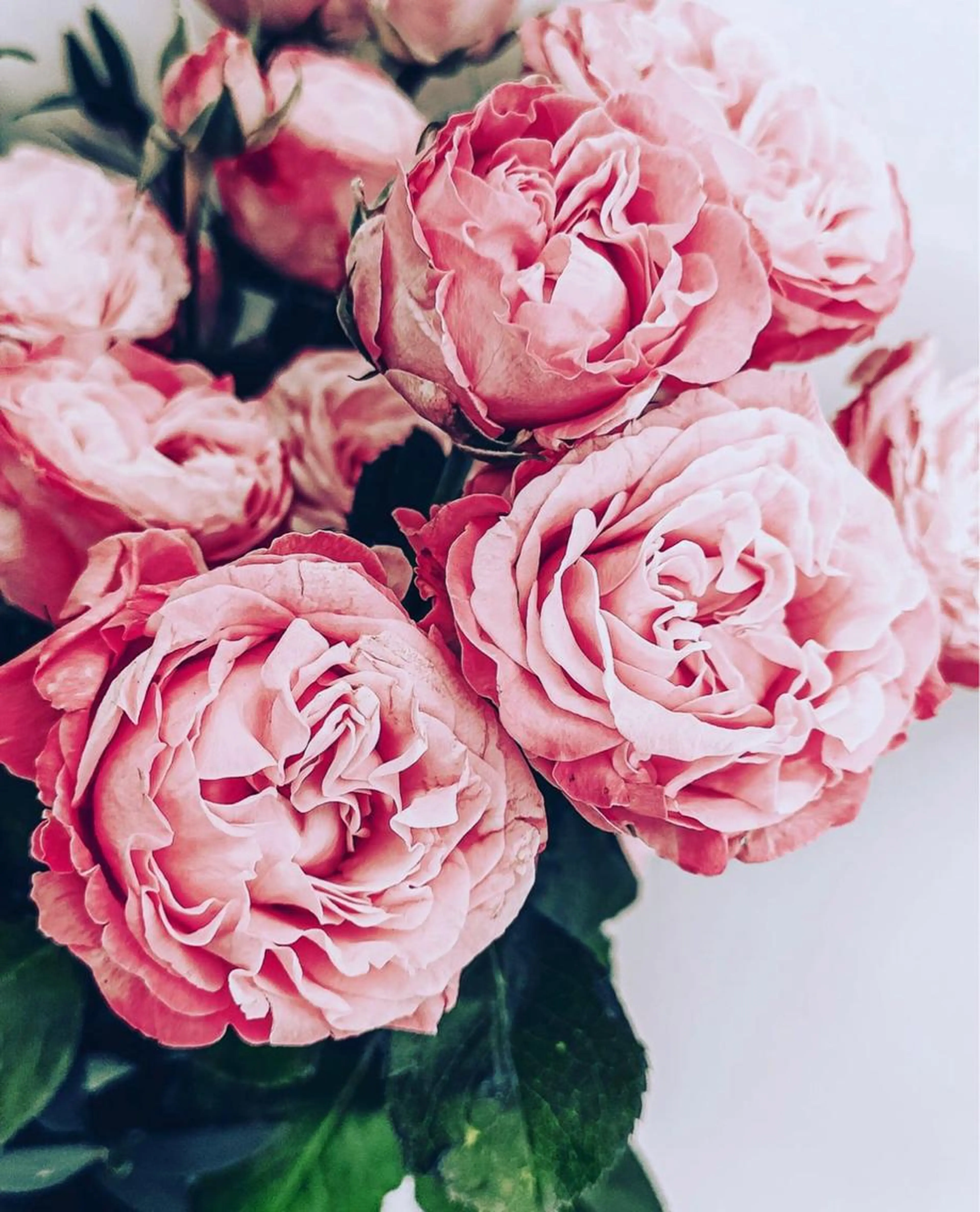 💌ご紹介でのご予約はこちら🕊𓂃 𓈒𓏸◌ ＊紹介チケットをお持ちの方のみご予約可能＊*の写真