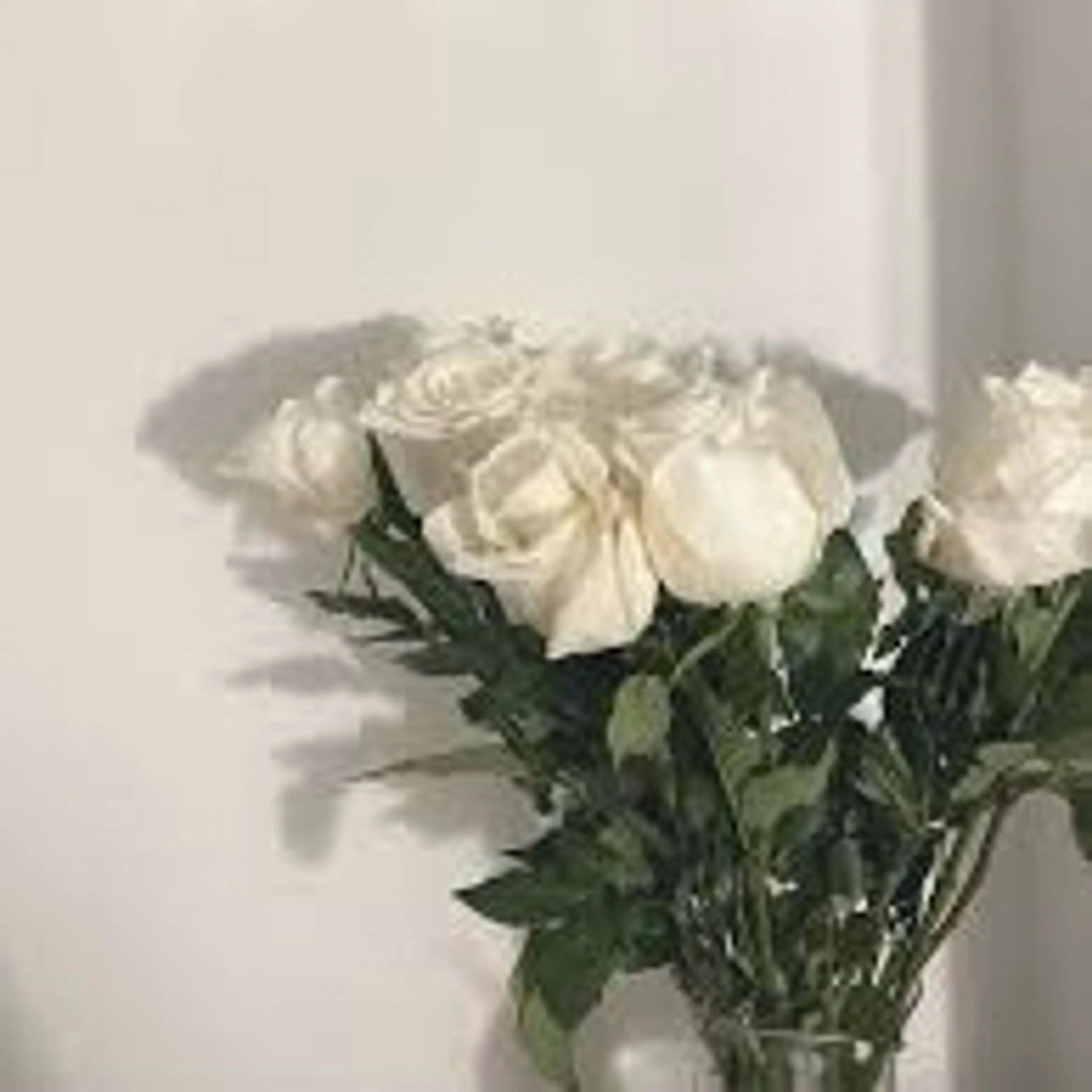 【エクステ​〜​60本】フラットラッシュ🌟コーティング付きの写真