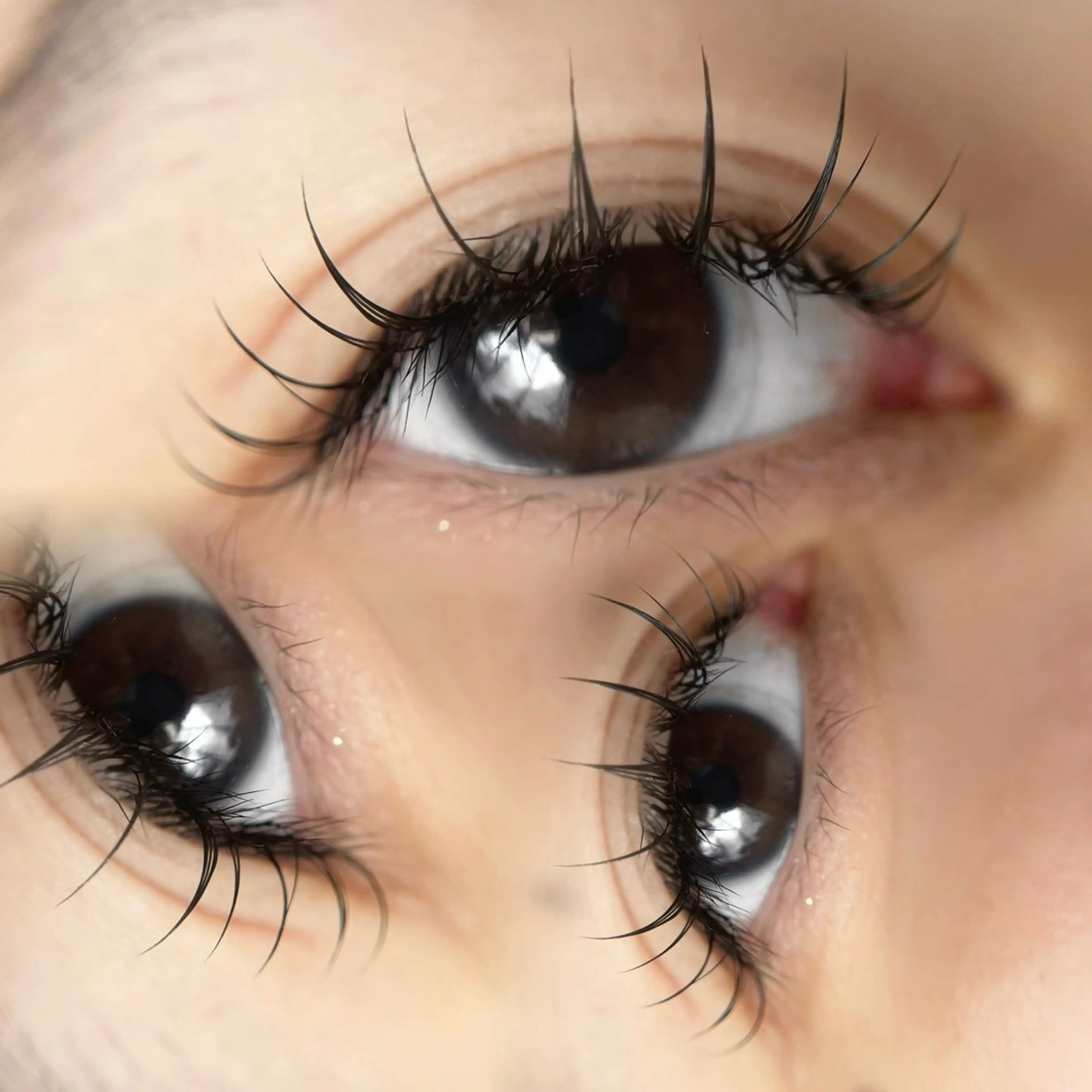 マツエク・マツパ Dカール フラットラッシュ Riialash.所属・Riko .のマツエク・マツパデザイン