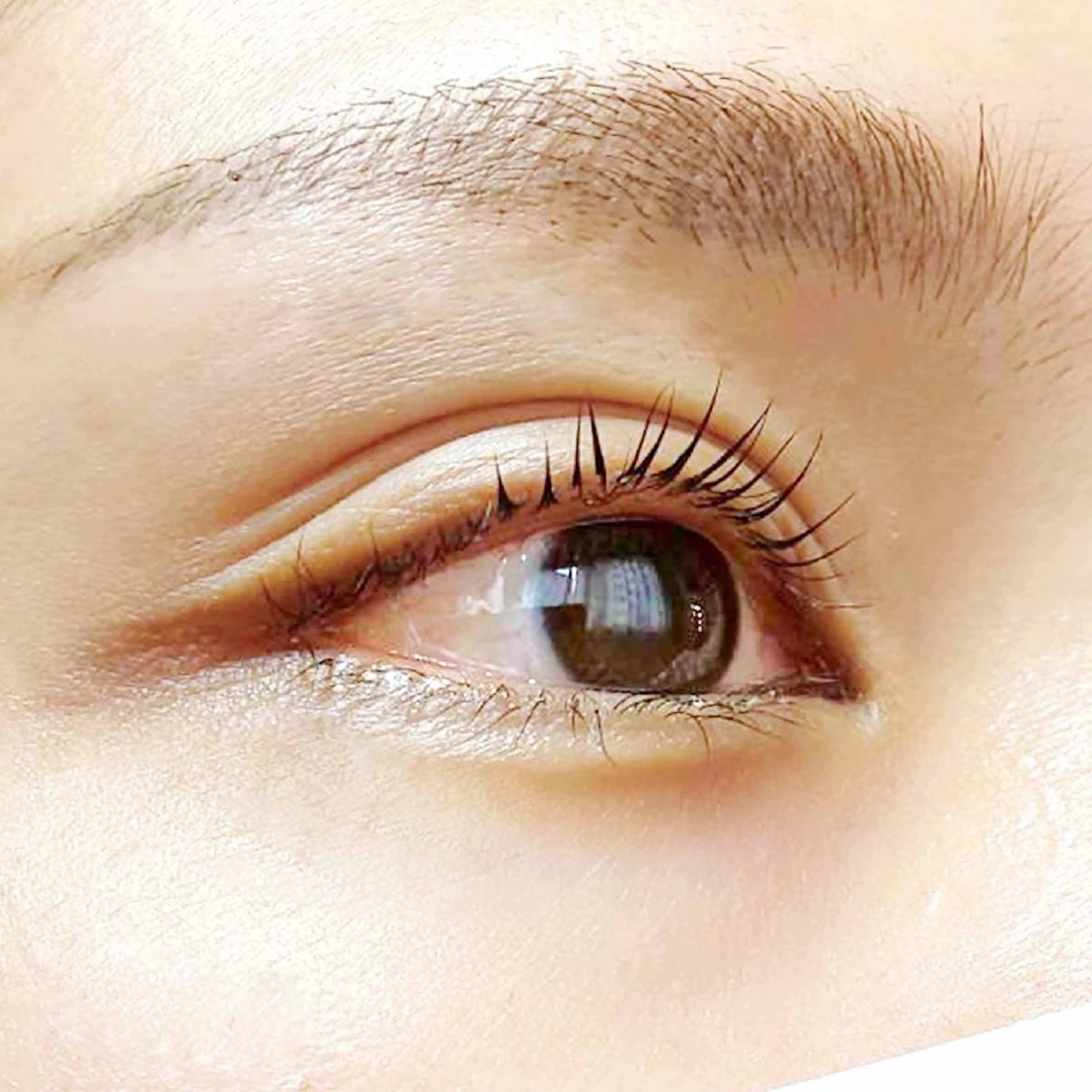 マツエク・マツパ マツパ MAXまつ毛&  フェイシャルのマツエク・マツパデザイン