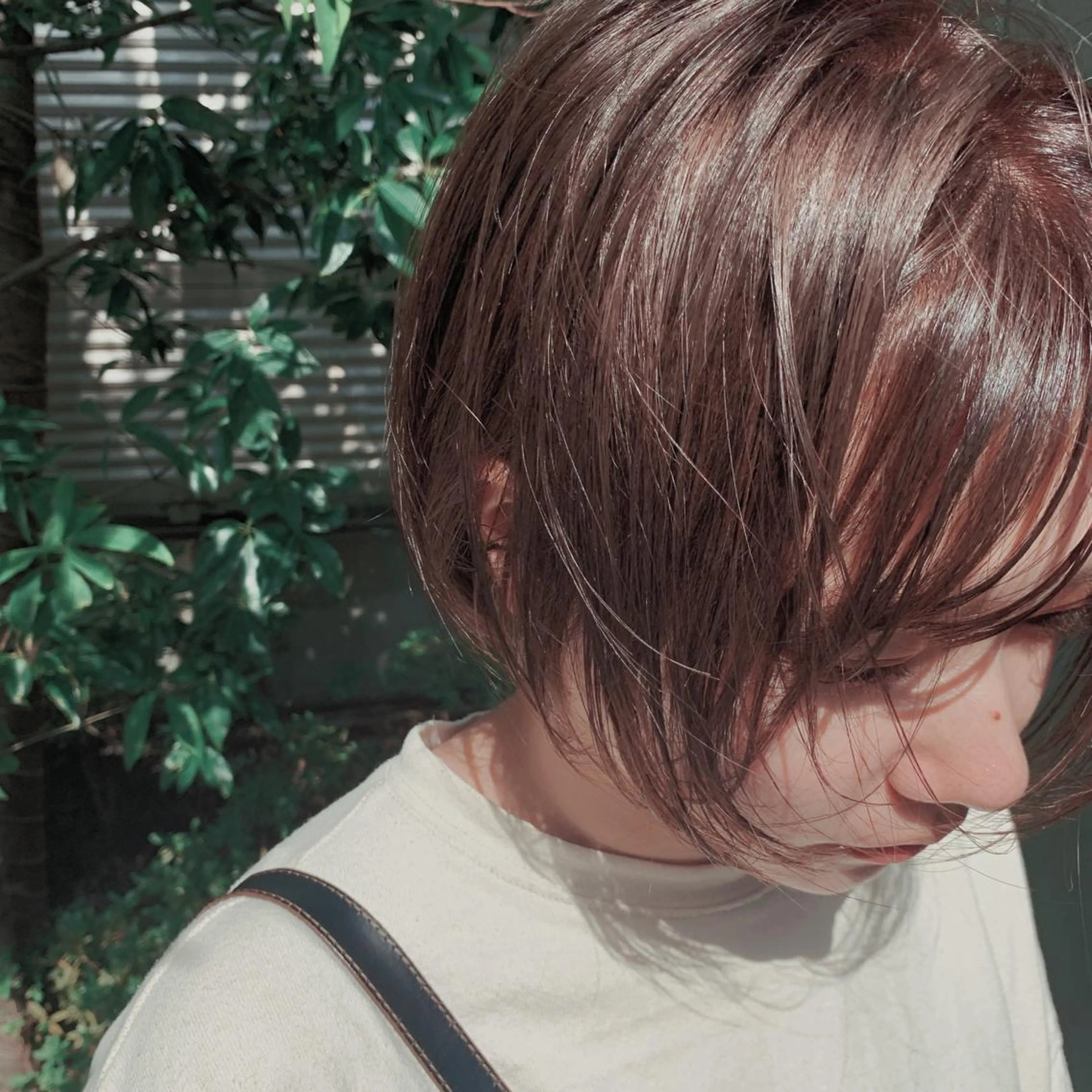 ショート カラー 🌿nudeカラー/ レイヤー/藤原🌿のヘアスタイル