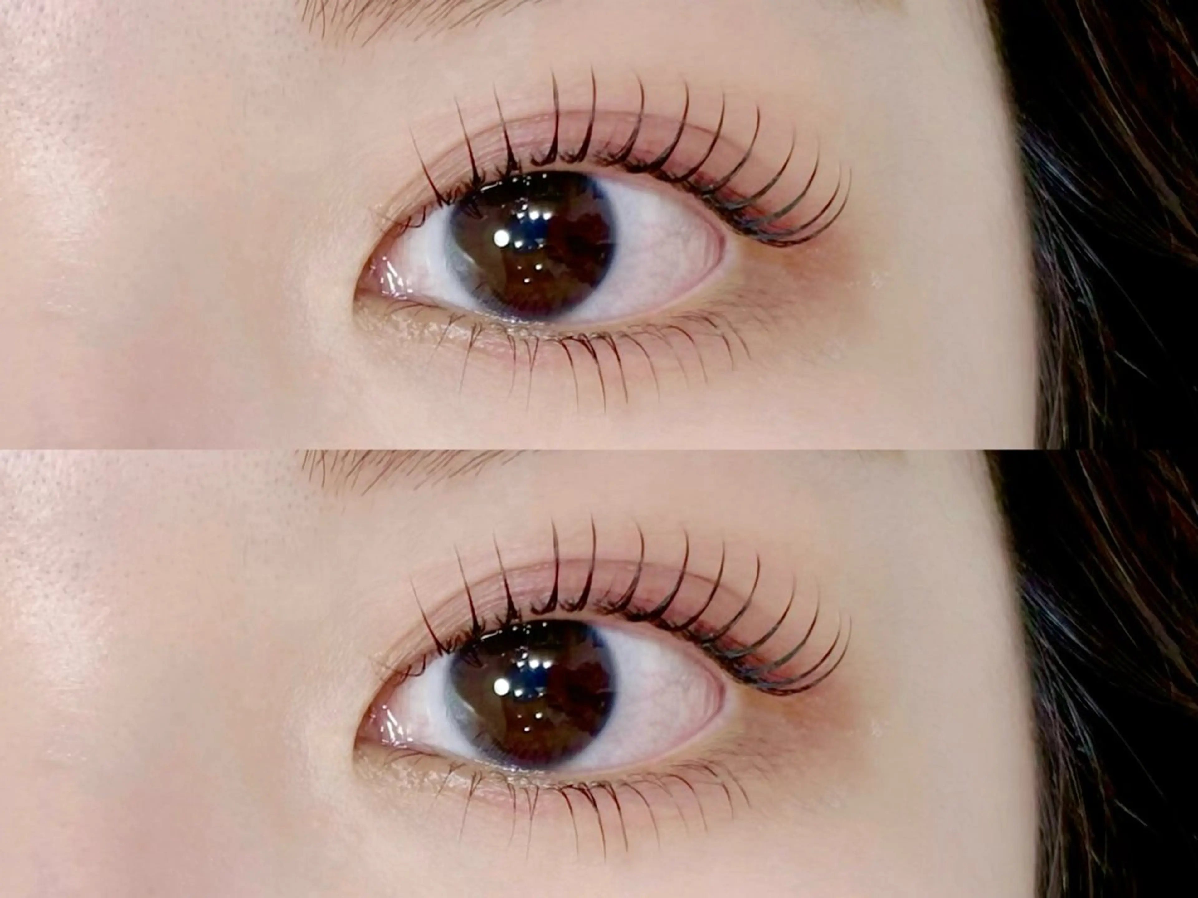 まつ毛パーマ上下【コーティング仕上げ🤍】の写真