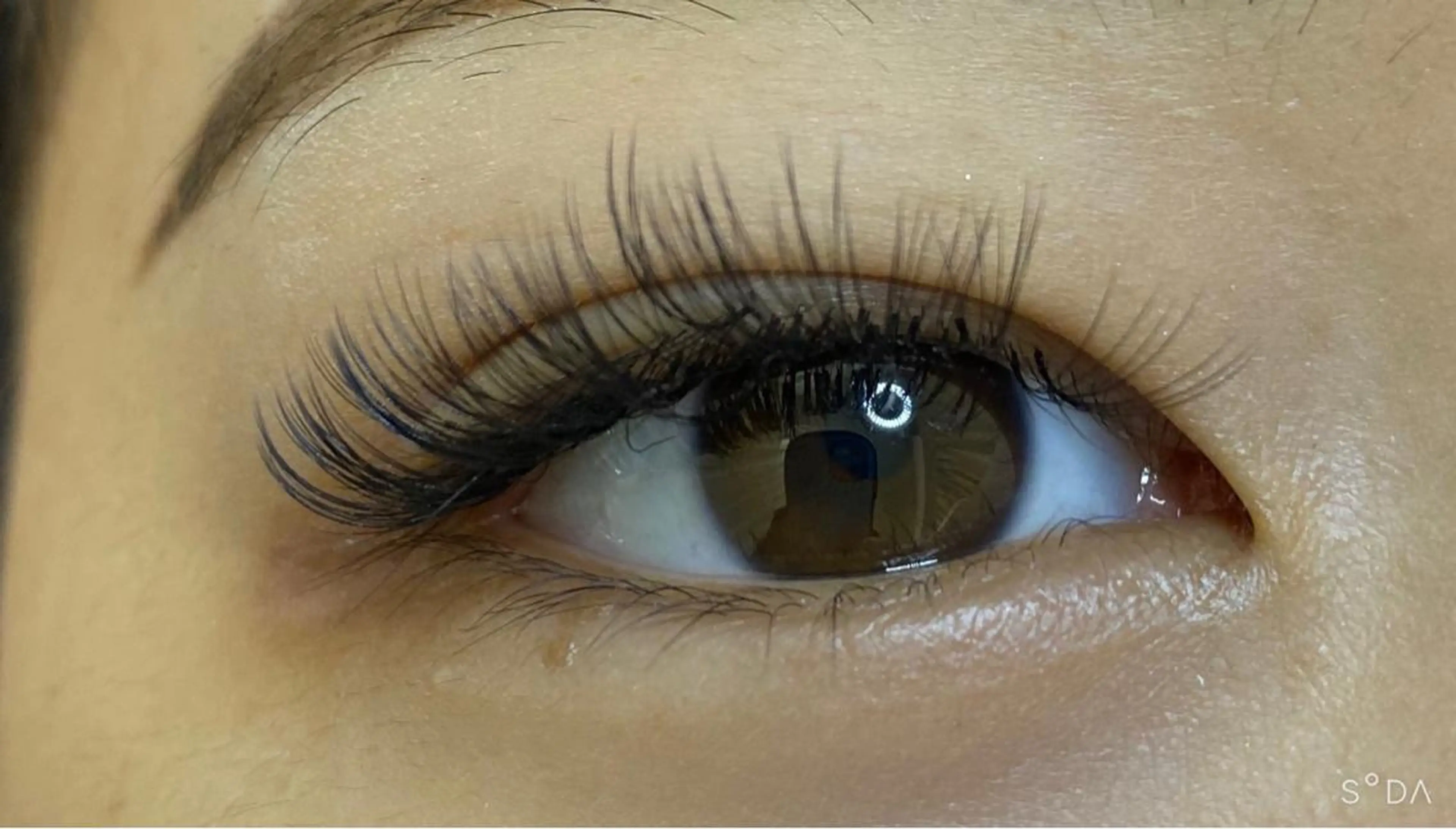 ✨ミニモ価格✨new✨Wフラット 120束(240本)LED に変更+1000円の写真