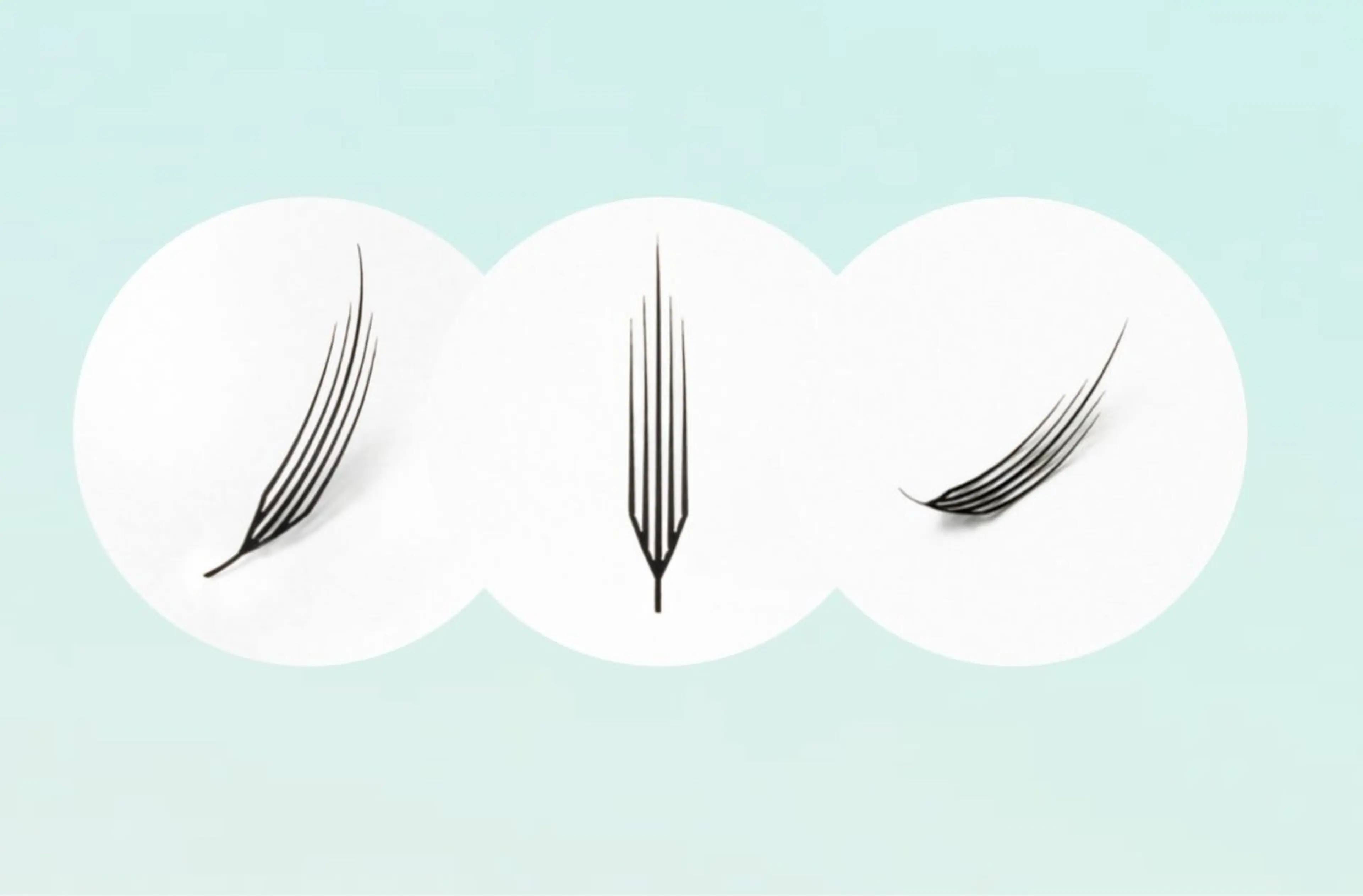 マツエク・マツパ ワンホンマツエク colors【カラーズ】所属・colors💐 《岐阜》のマツエク・マツパデザイン