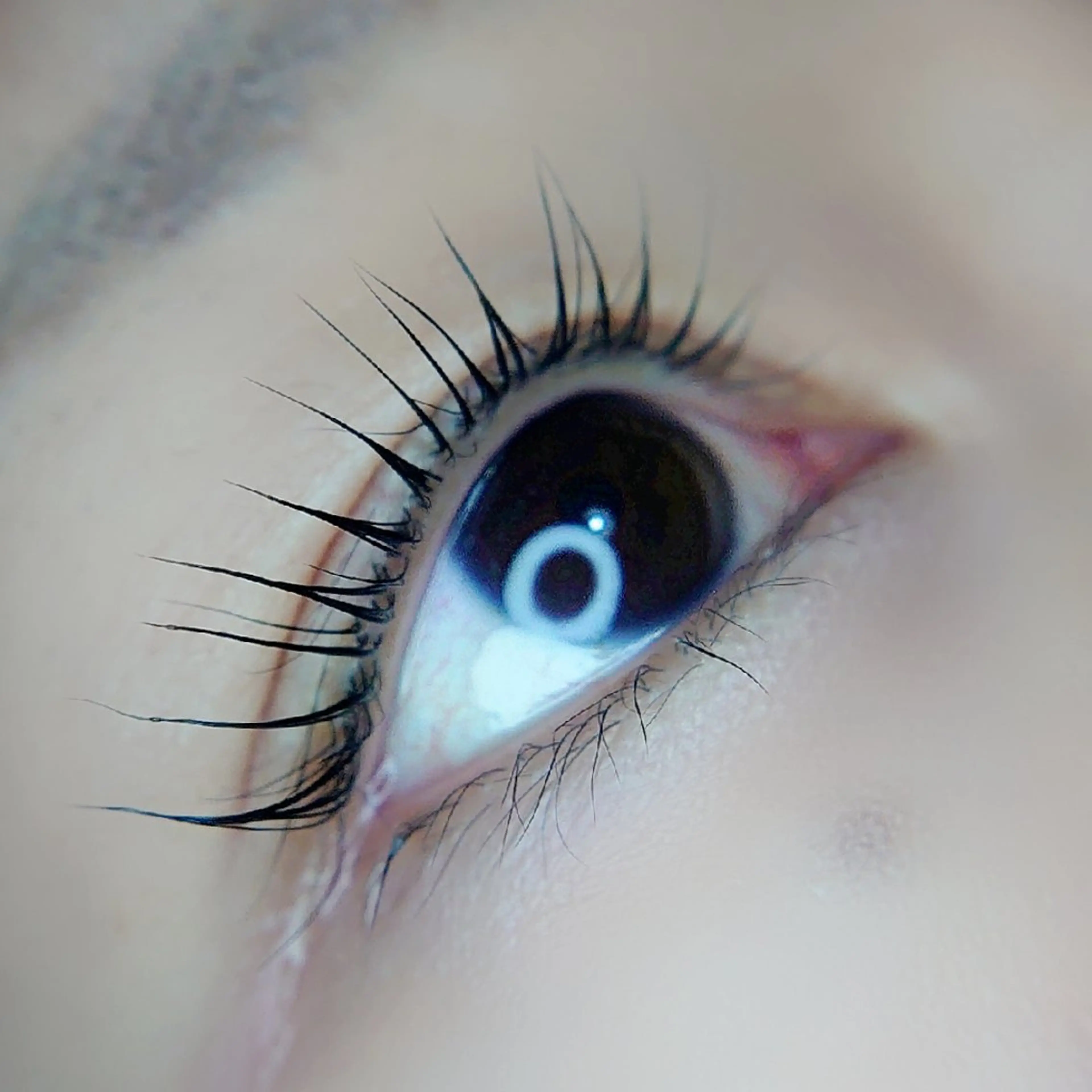 マツエク・マツパ Chelu TOMのマツエク・マツパデザイン