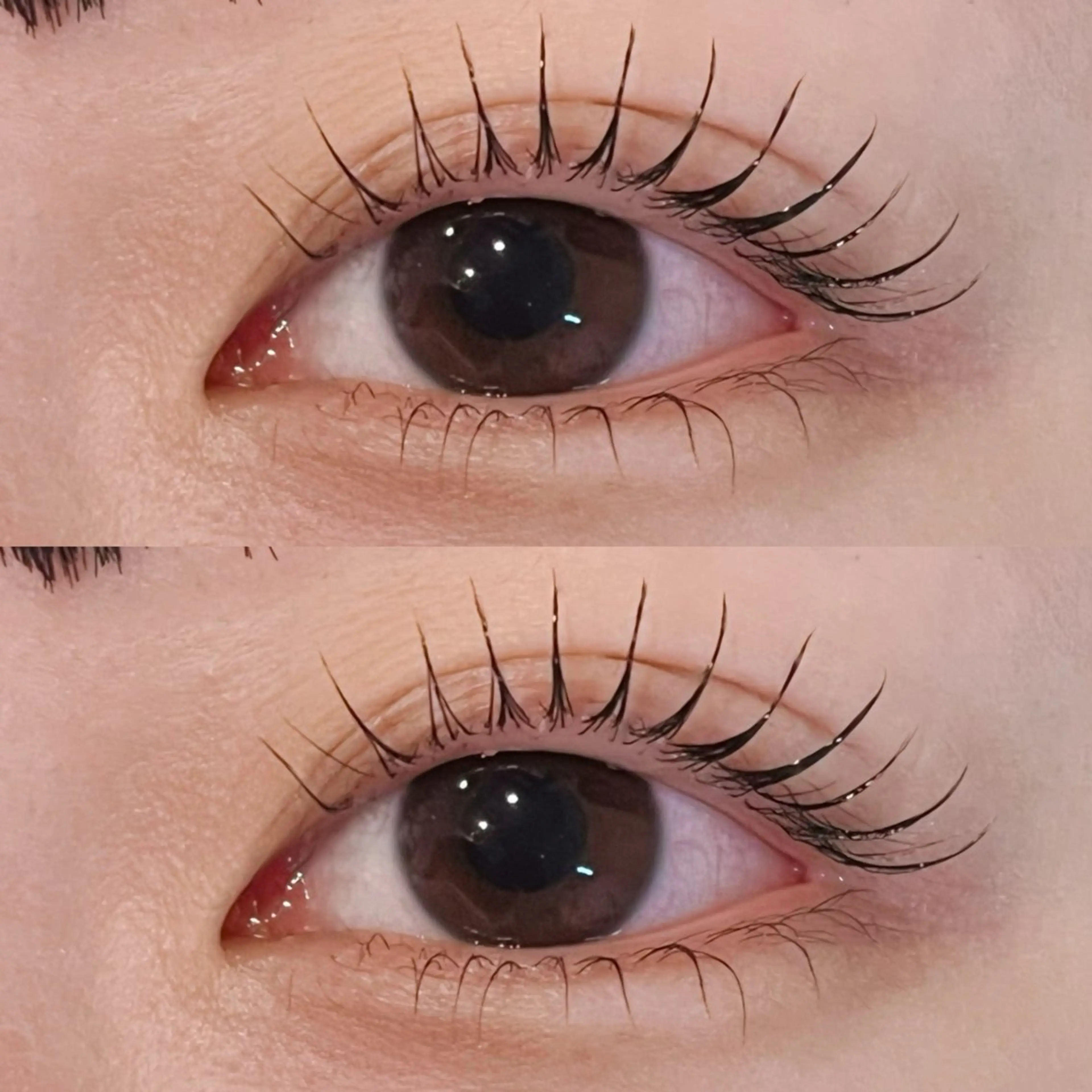 ラッシュリフト💛(詳細確認お願いします)の写真