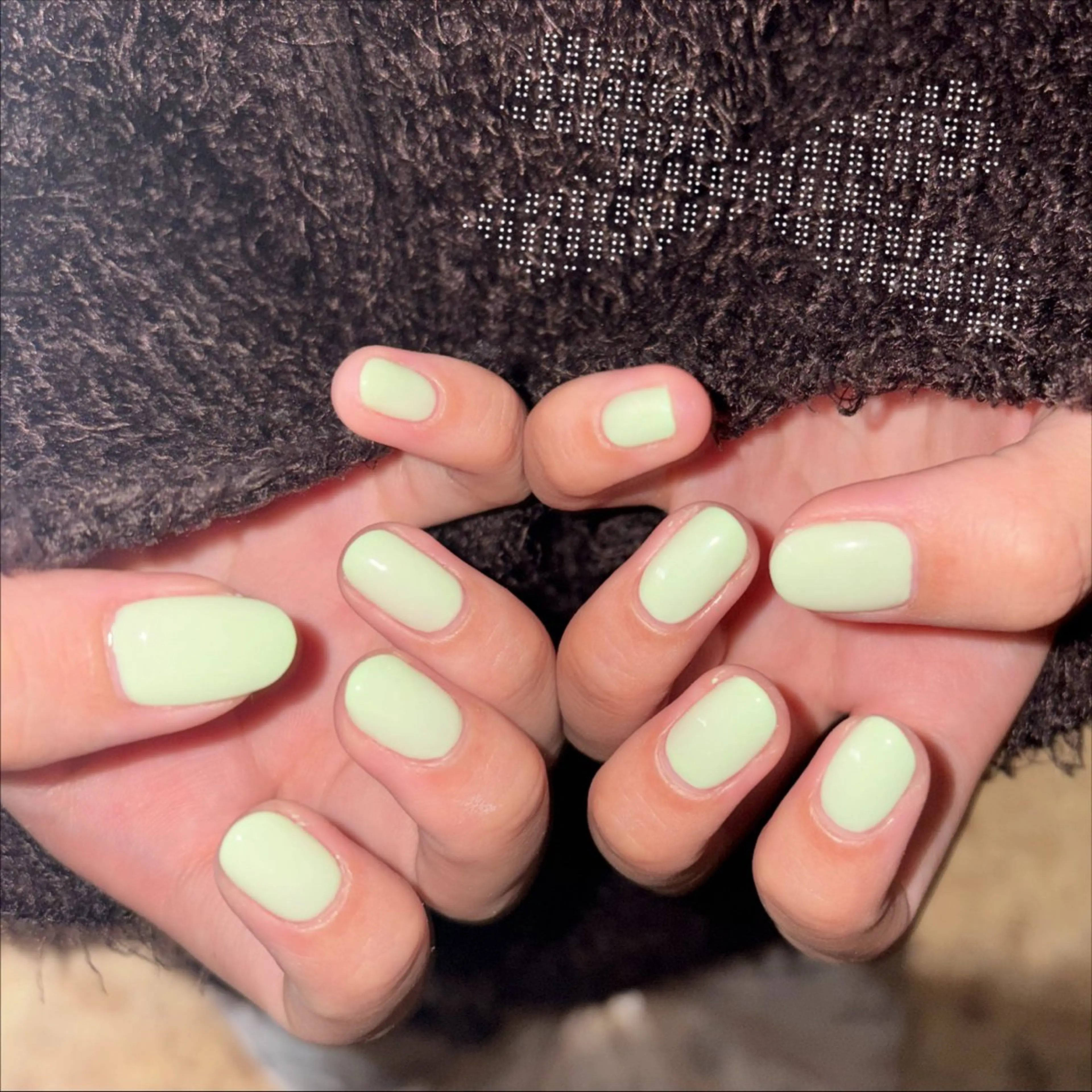 ワンカラーのモデルさんを募集しております！🧡の写真