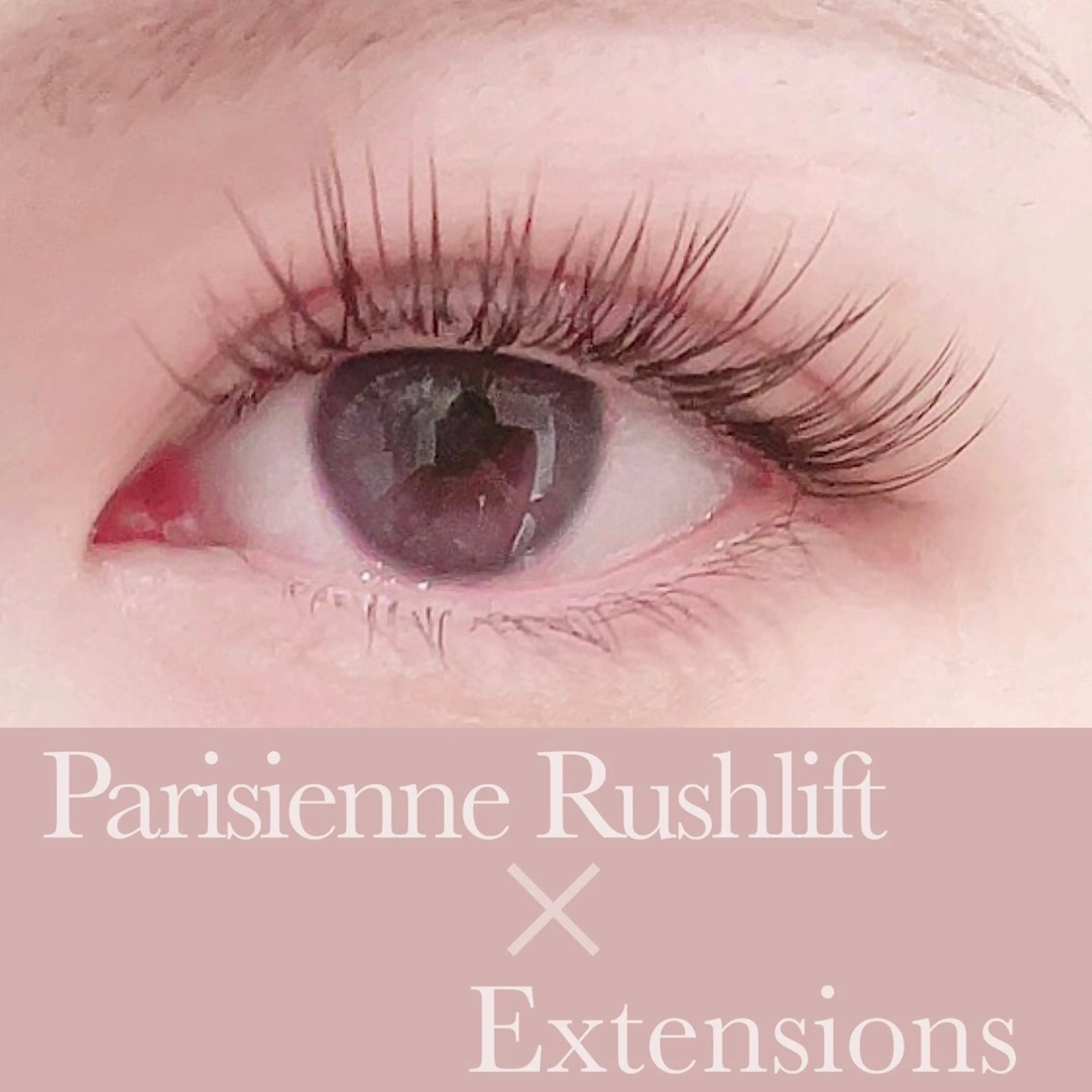 マツエク・マツパ Luana所属・🕊 Luana 🌷︎の眉毛・アイブロウイメージ