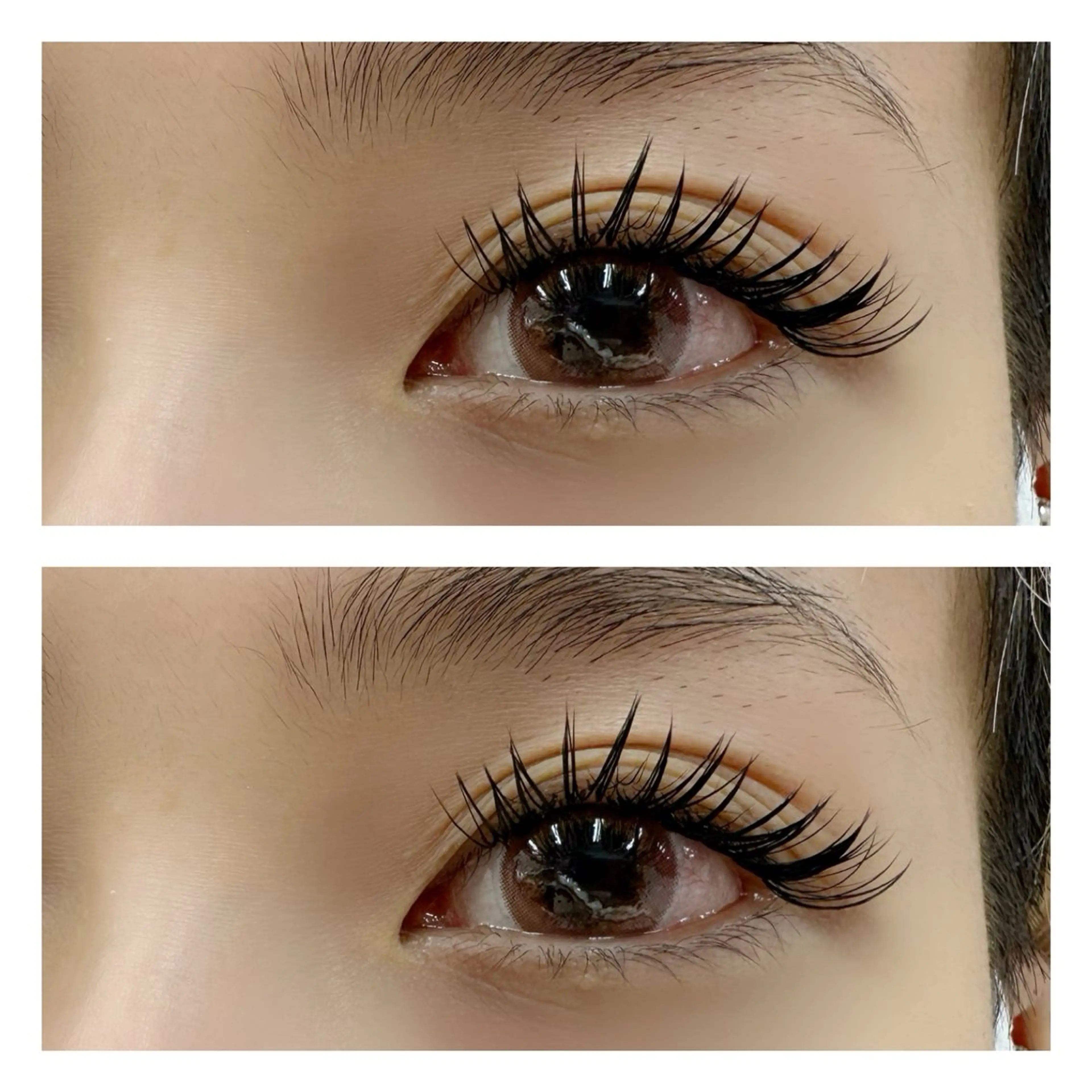 🪻ダブルラッシュ(ダブルフラット)100束🪻¥8530【立川】の写真