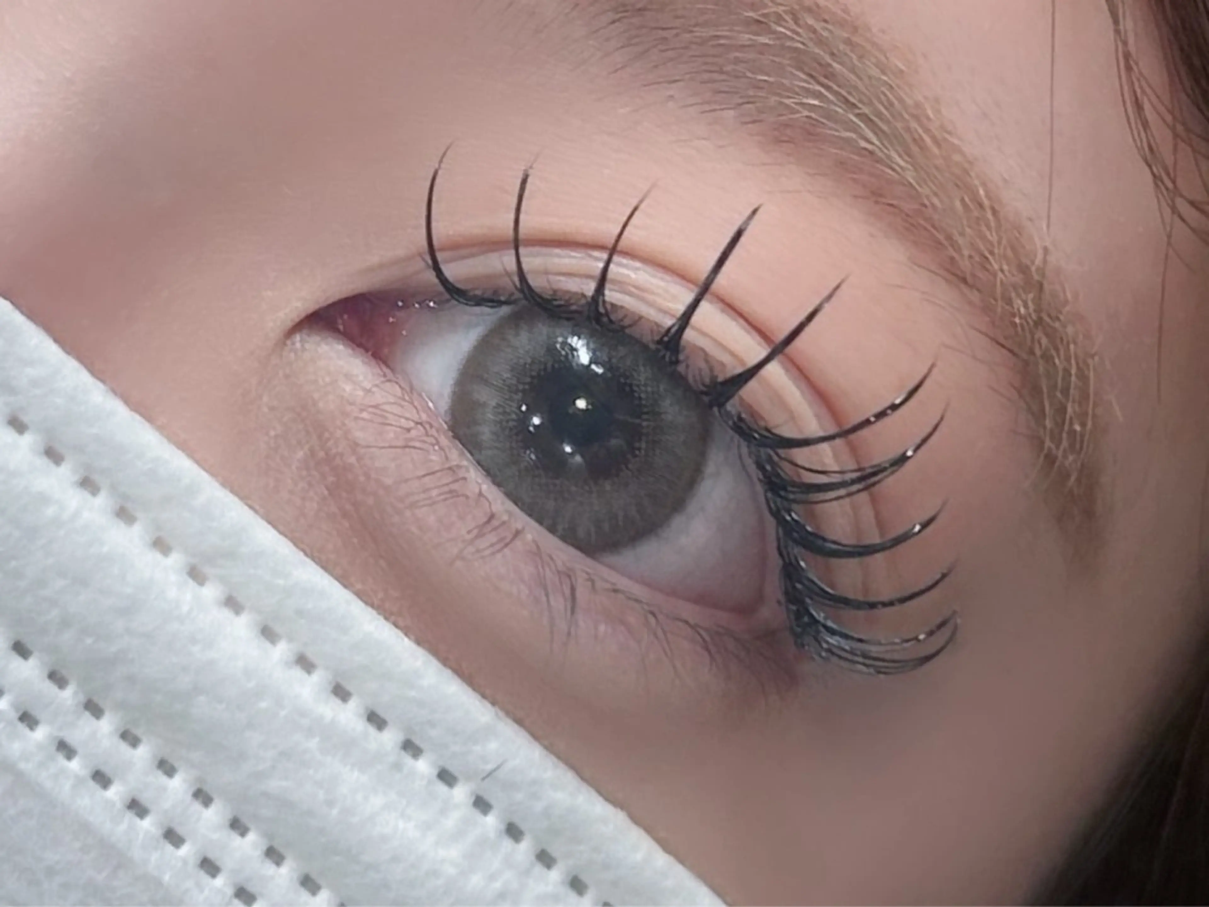 セット料金/ラッシュリフト+LEDマツエク120本(パリエク風)の写真