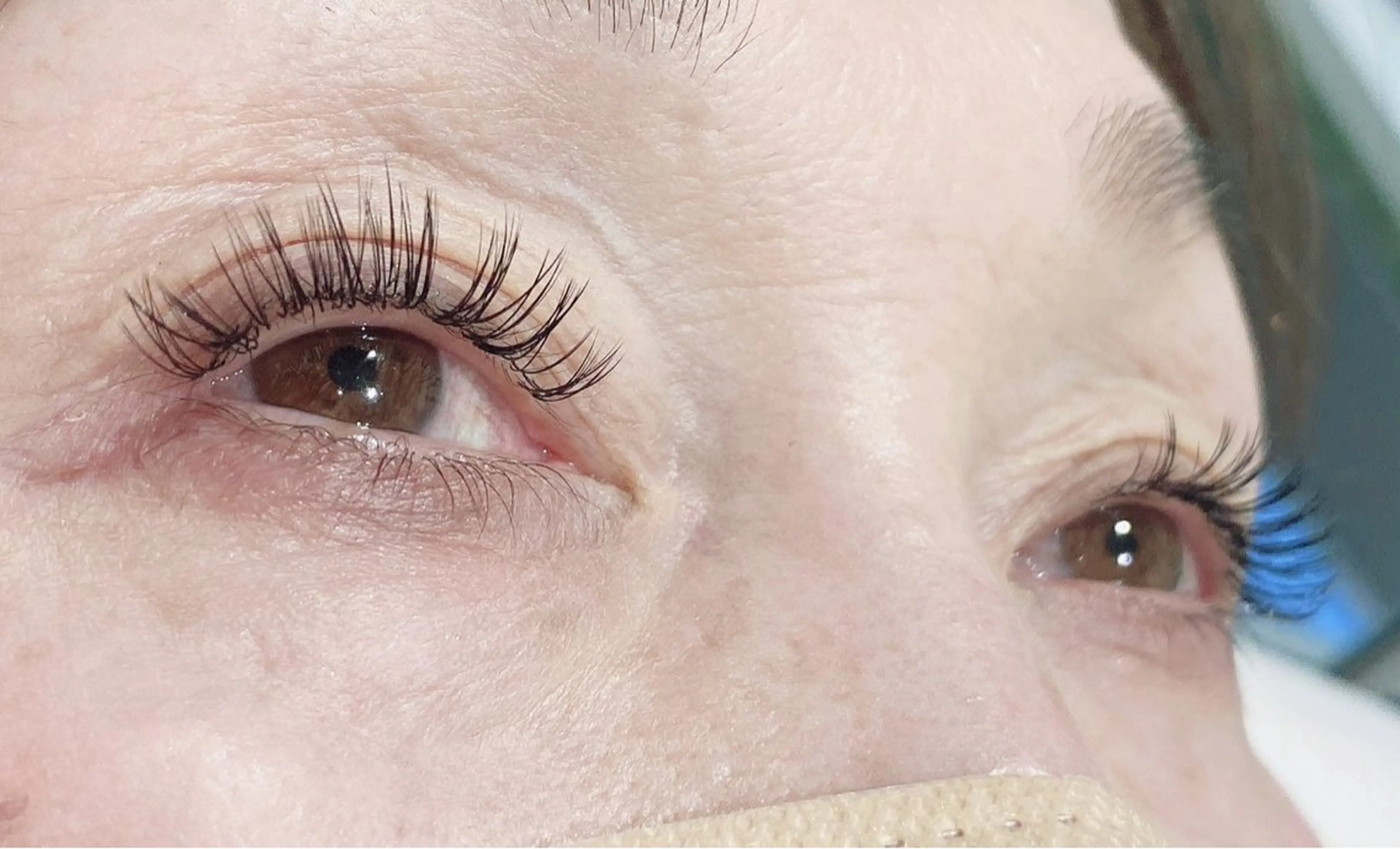 ボリュームラッシュソフト80束の写真