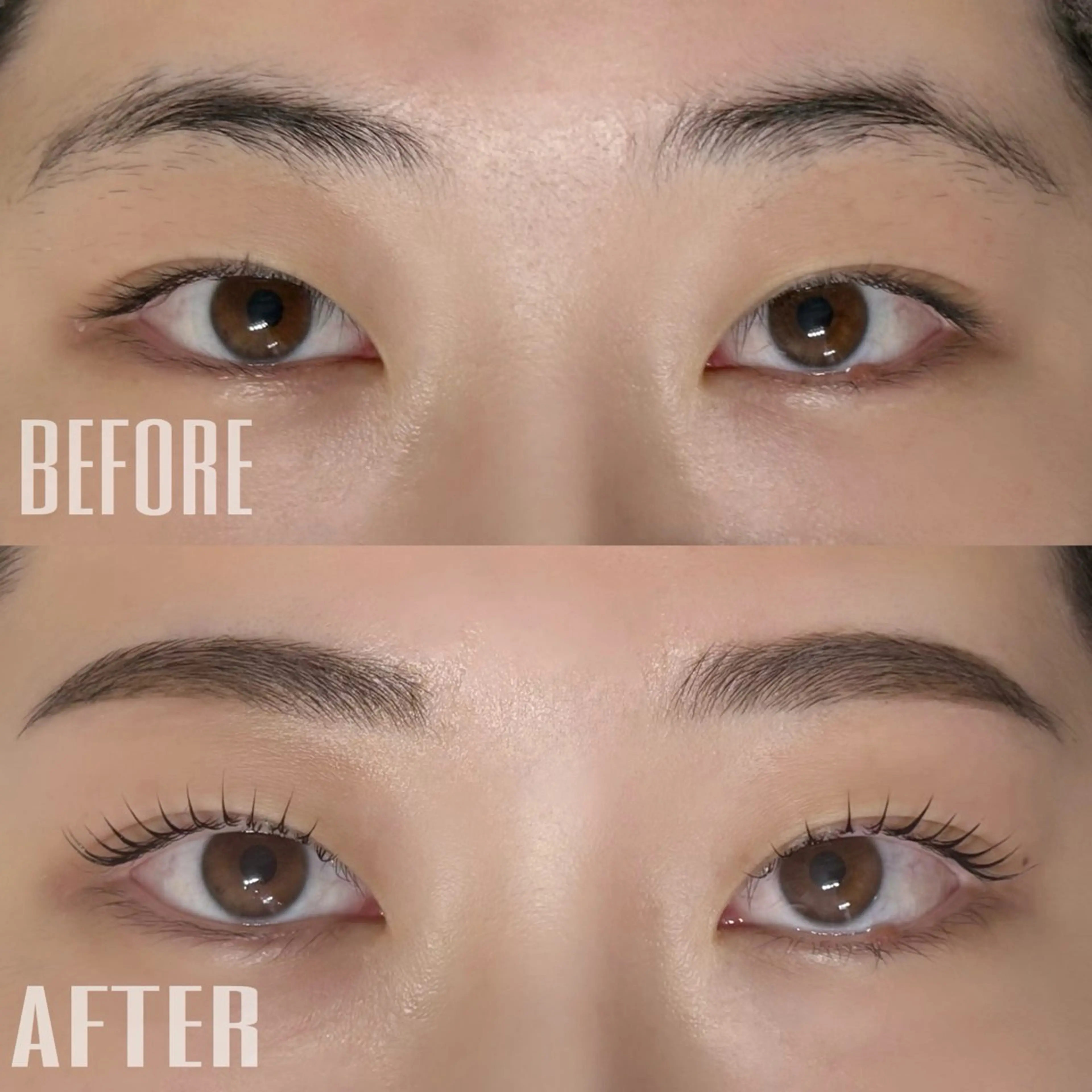 🎀【まつ毛パーマ(コーティング仕上げ)➕眉毛wax】の写真