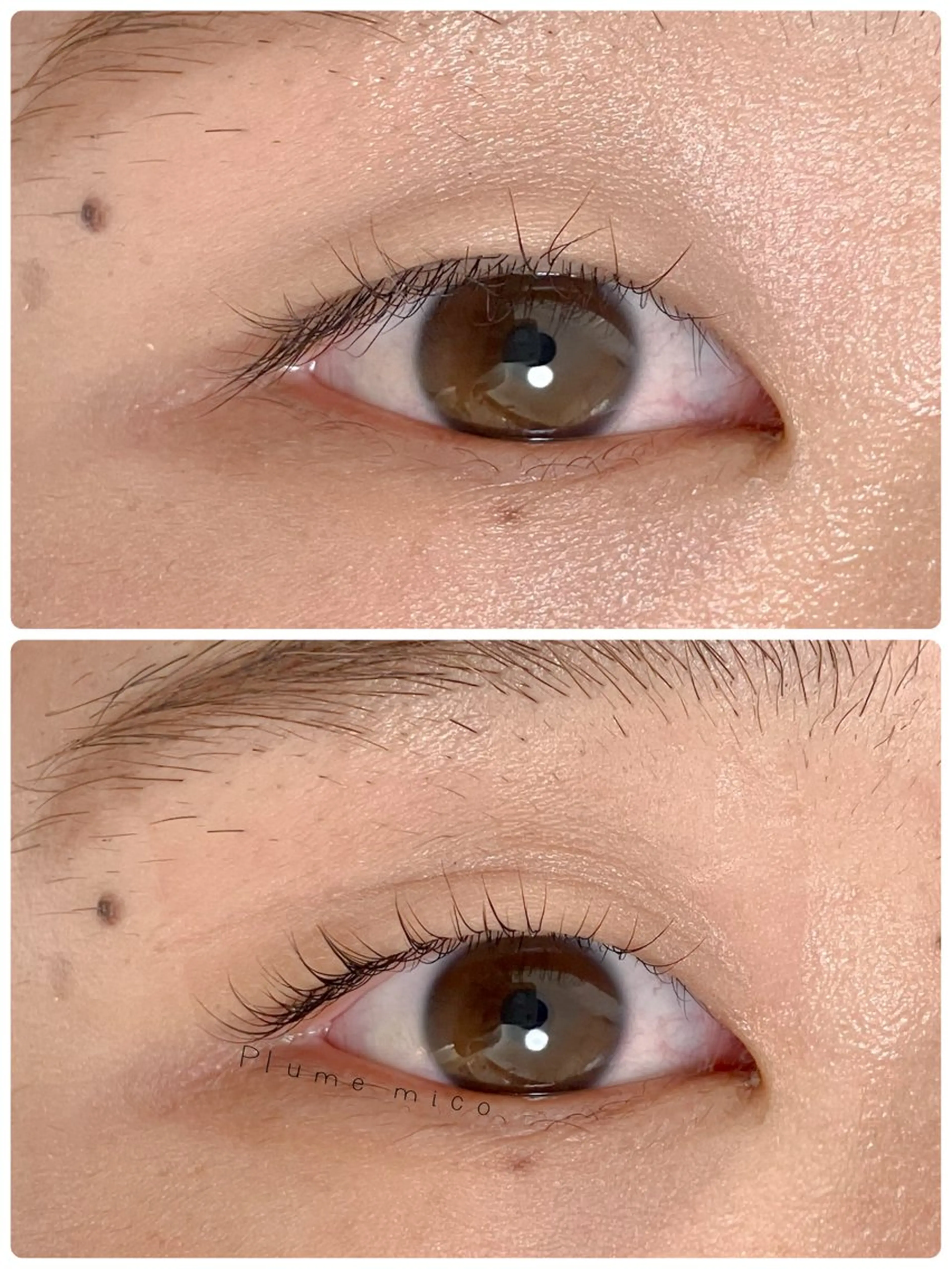 マツエク・マツパ マツパ Plume micoのマツエク・マツパデザイン