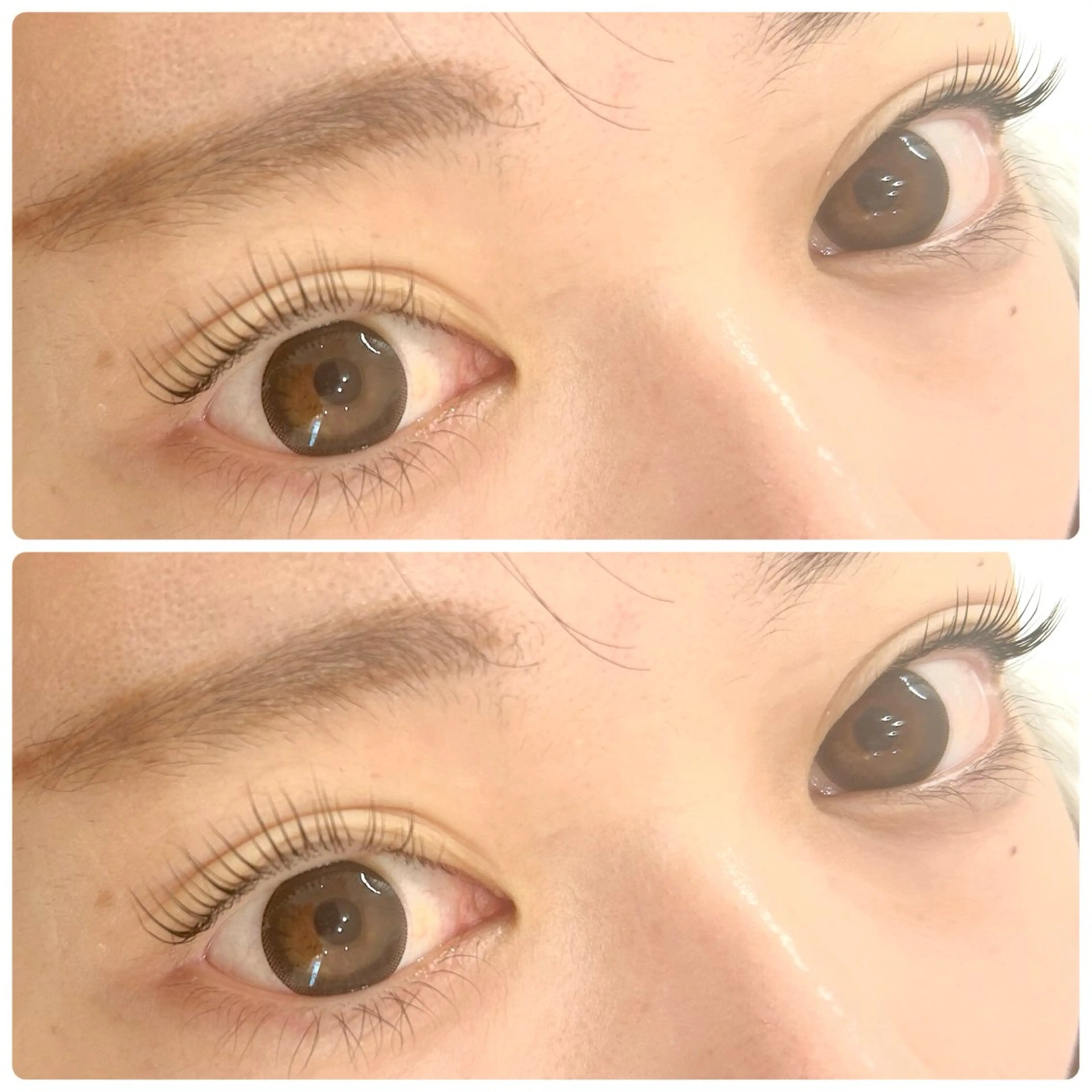 マツエク・マツパ アイブロウ/HBL 🦄MEMEの眉毛・アイブロウイメージ