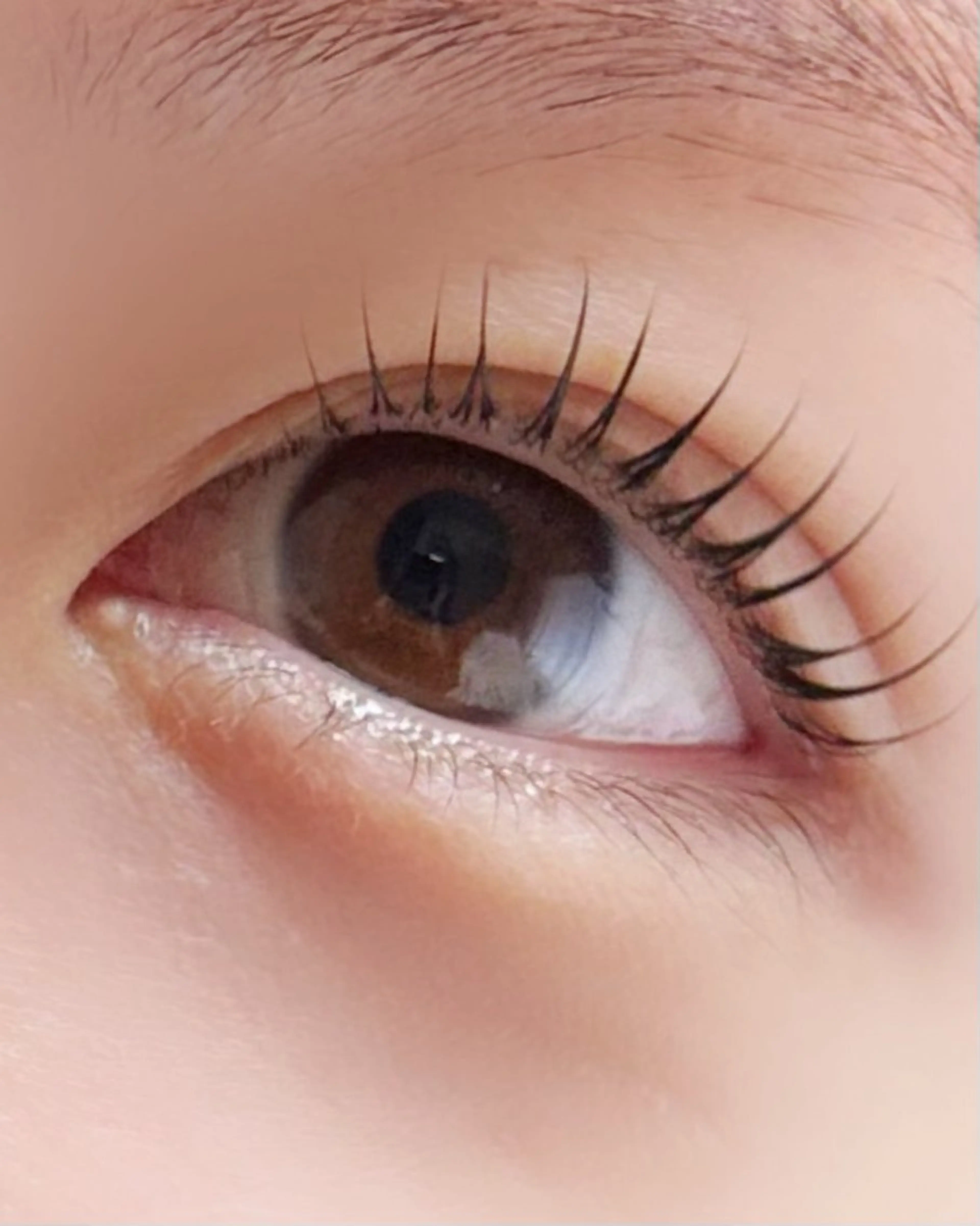 ラッシュリフト(上)+ポイントwax鼻・眉間の写真