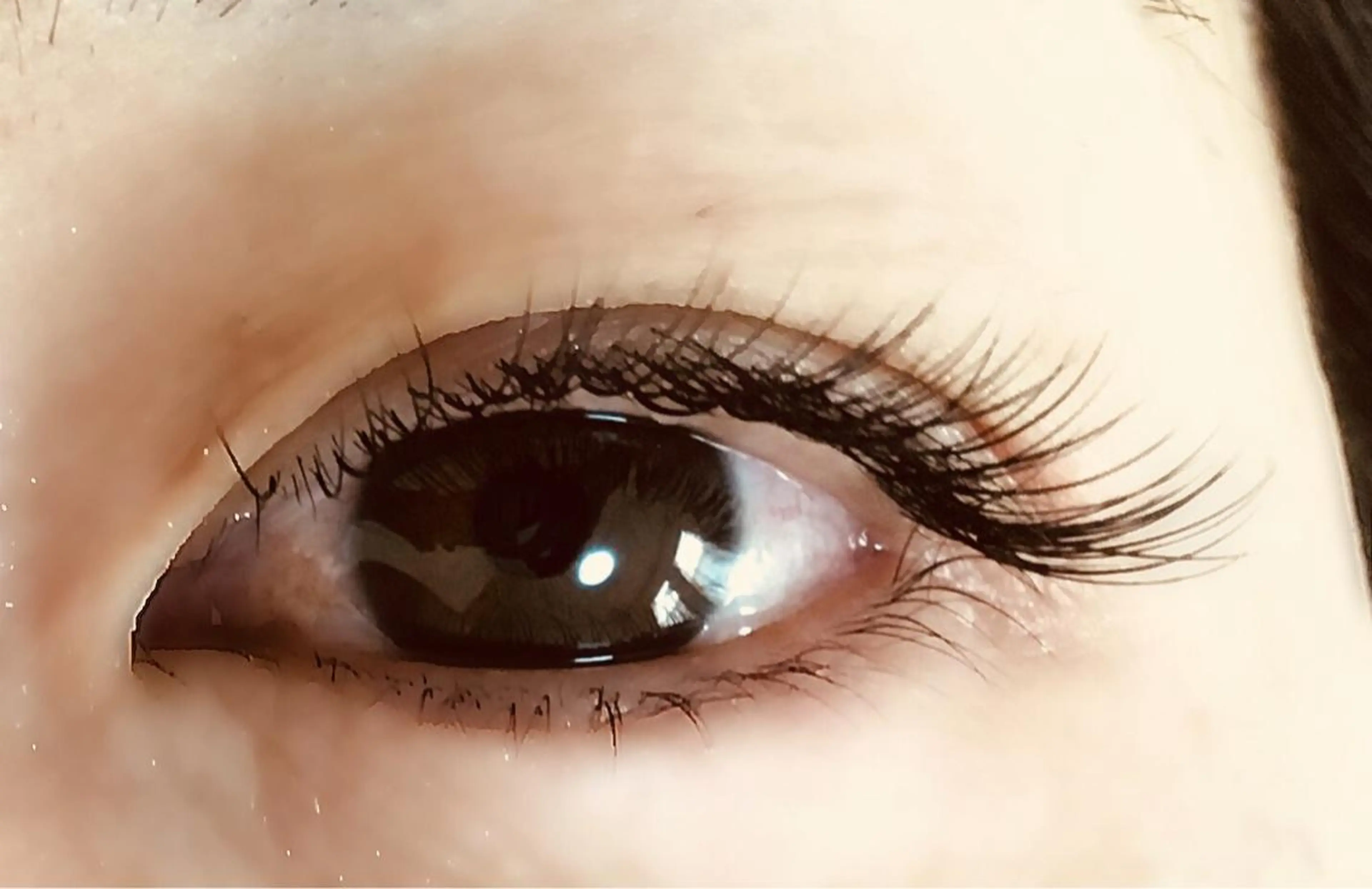 マツエク・マツパ Cカール fossette hair&eyeのマツエク・マツパデザイン