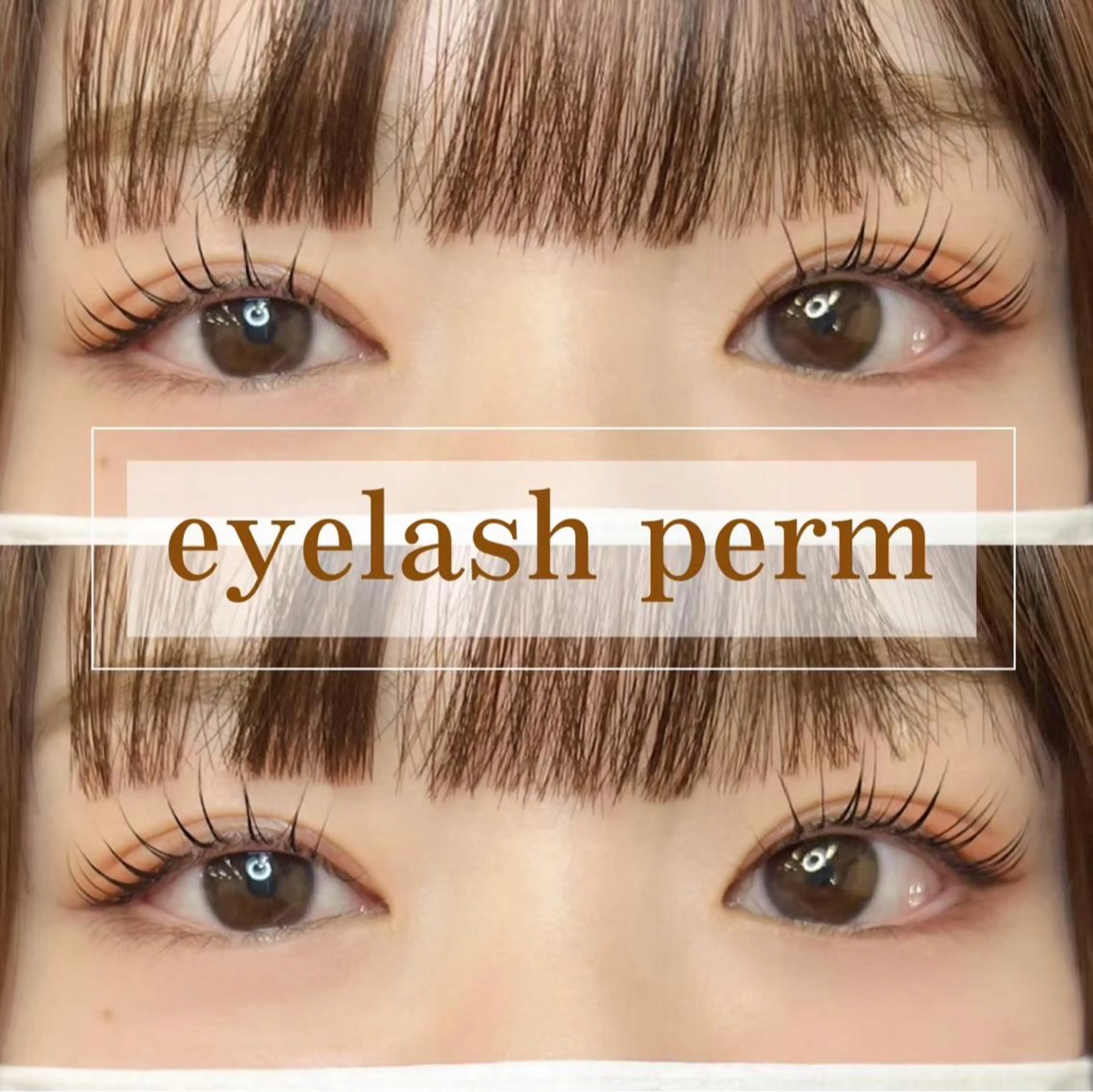 マツエク・マツパ ROSE MUSE pure [ロゼミューズ ピュア]所属・rose muse. miyuの眉毛・アイブロウイメージ